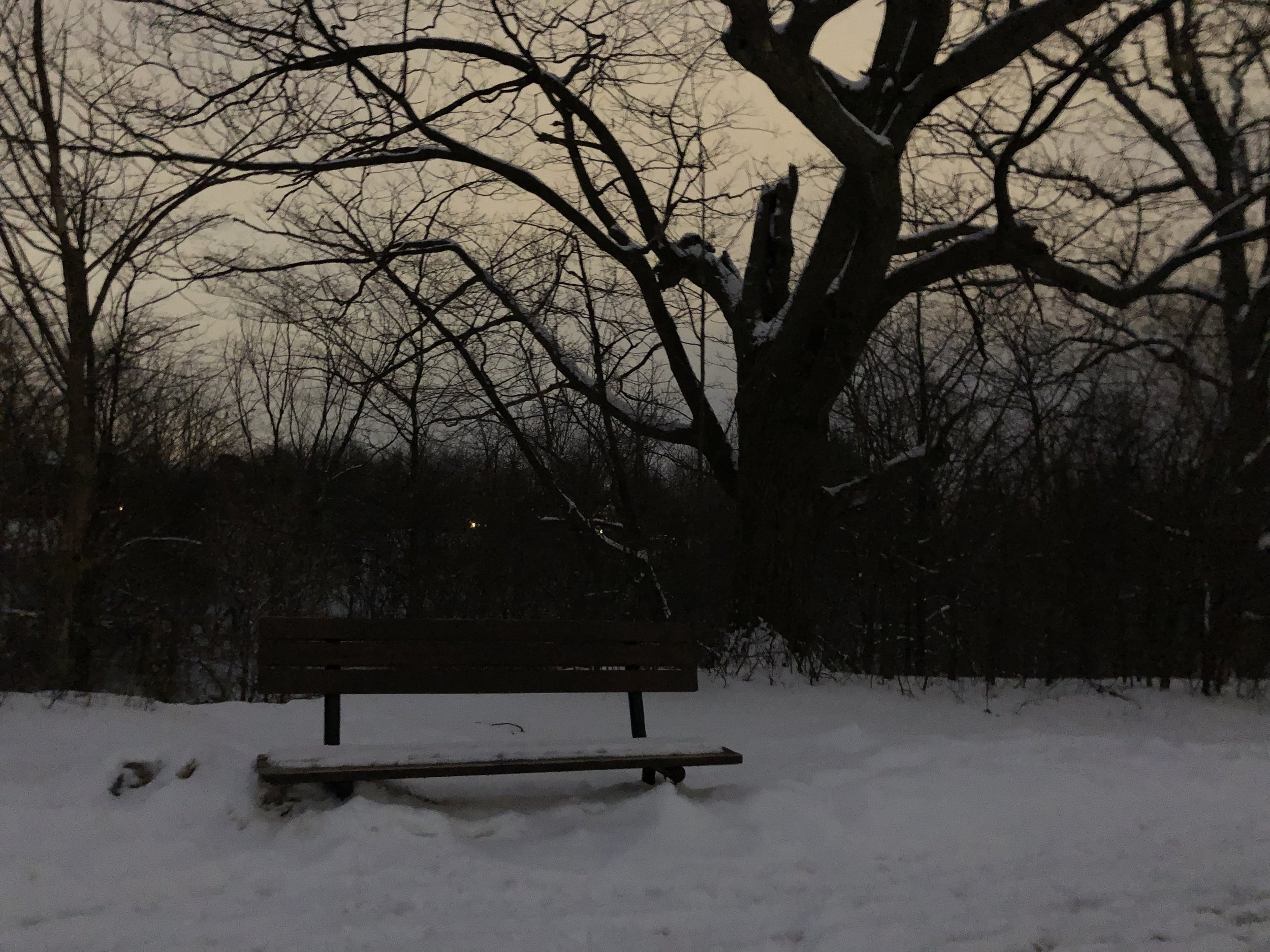 IMG_1009.jpeg