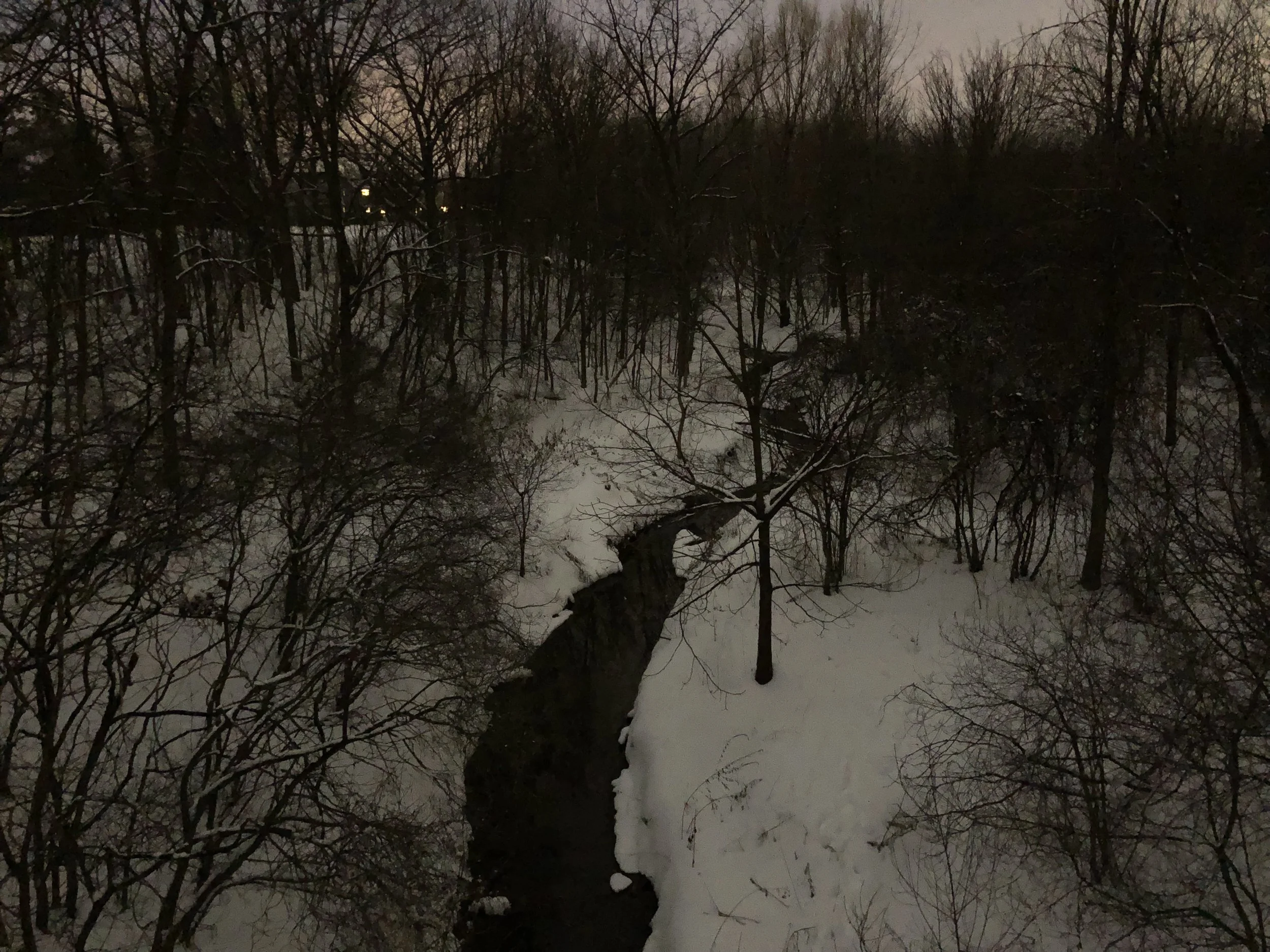 IMG_1014.jpeg