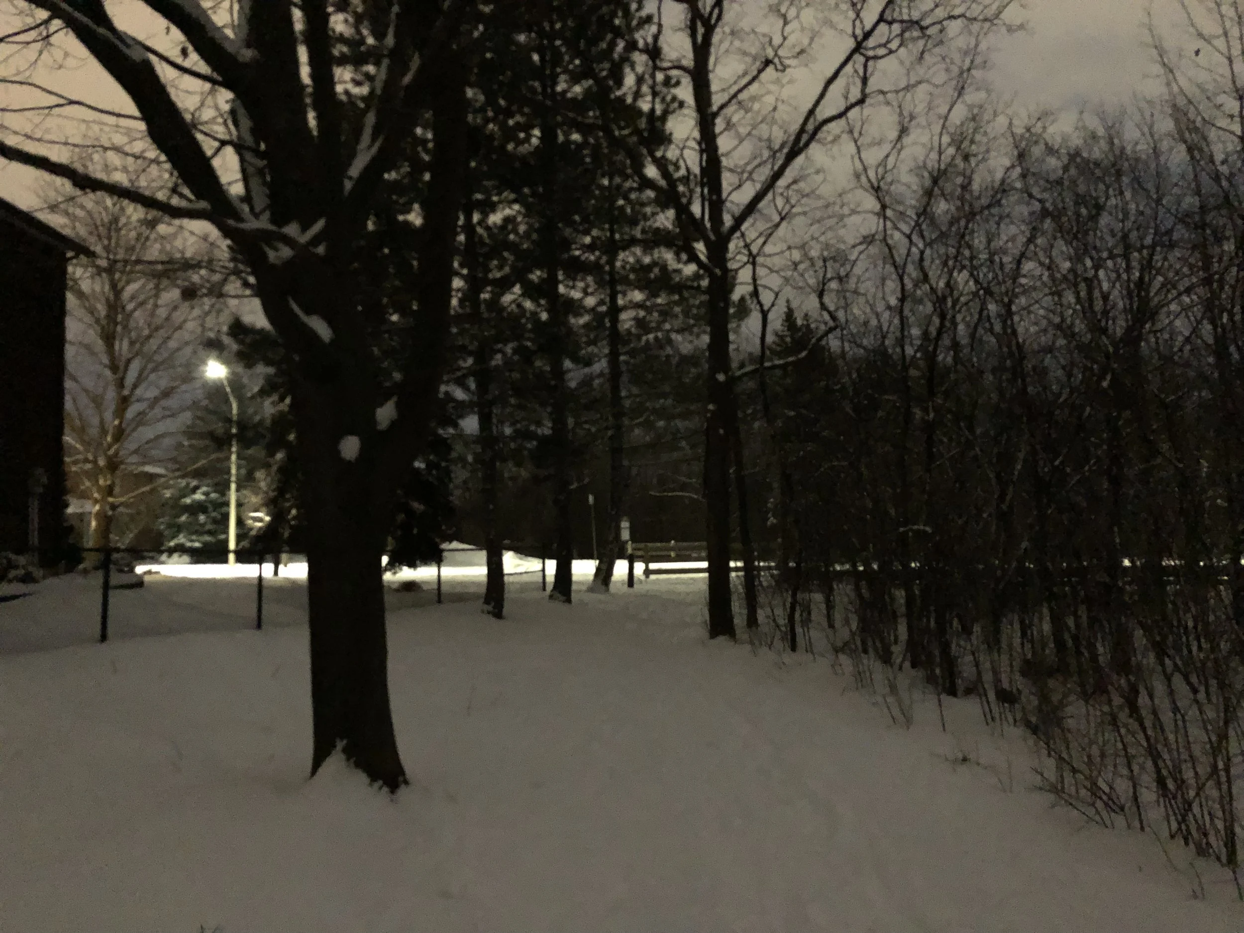 IMG_1017.jpeg