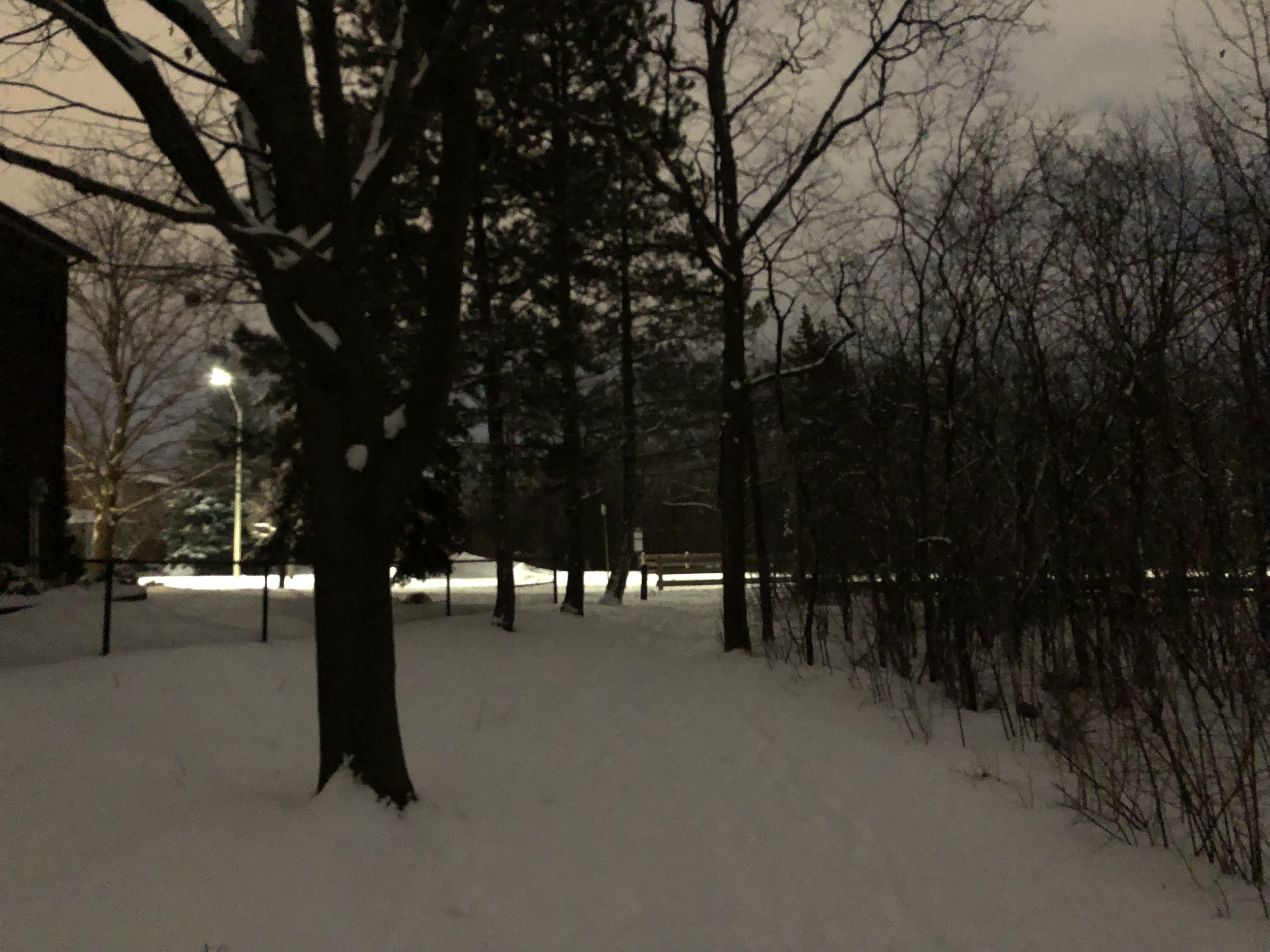IMG_1017.jpeg