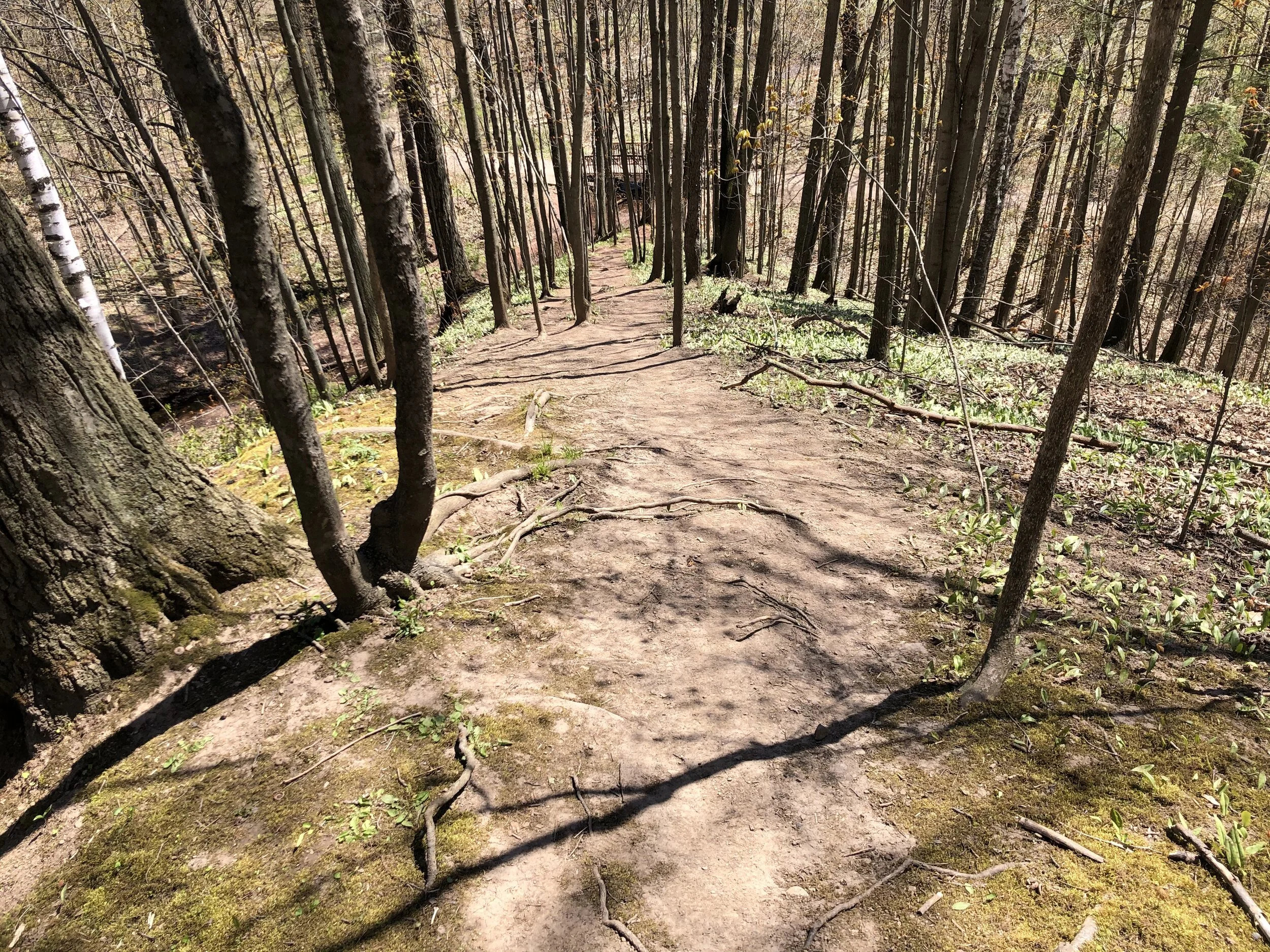 One of the back paths (and steep hills) in Oakville’s 16 Mile Creek watershed.