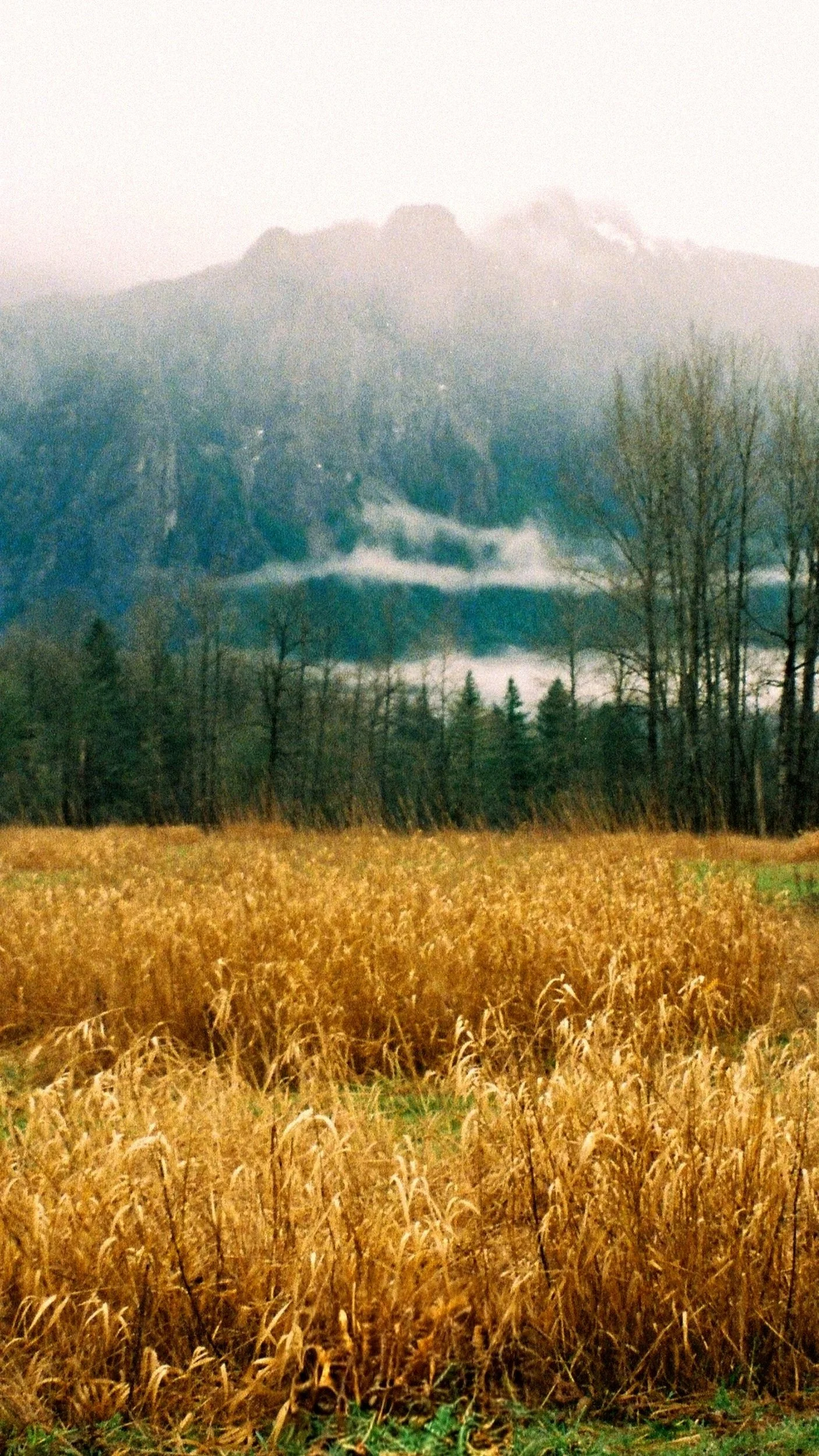 processed_1000017552.jpg