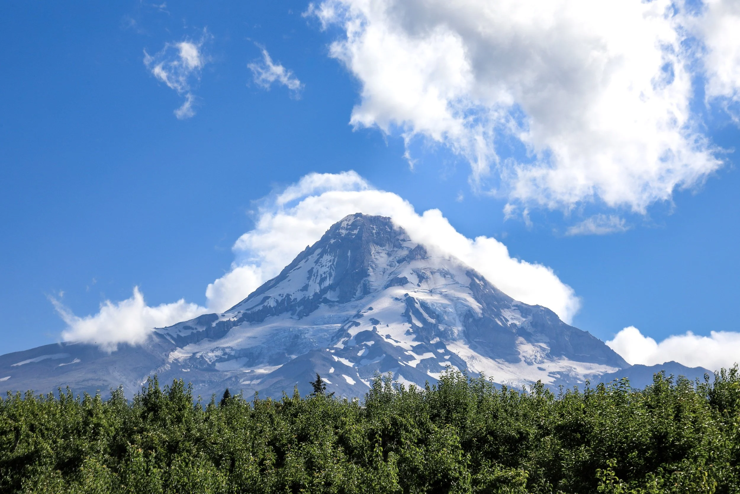 processed_Mt hood print.jpg