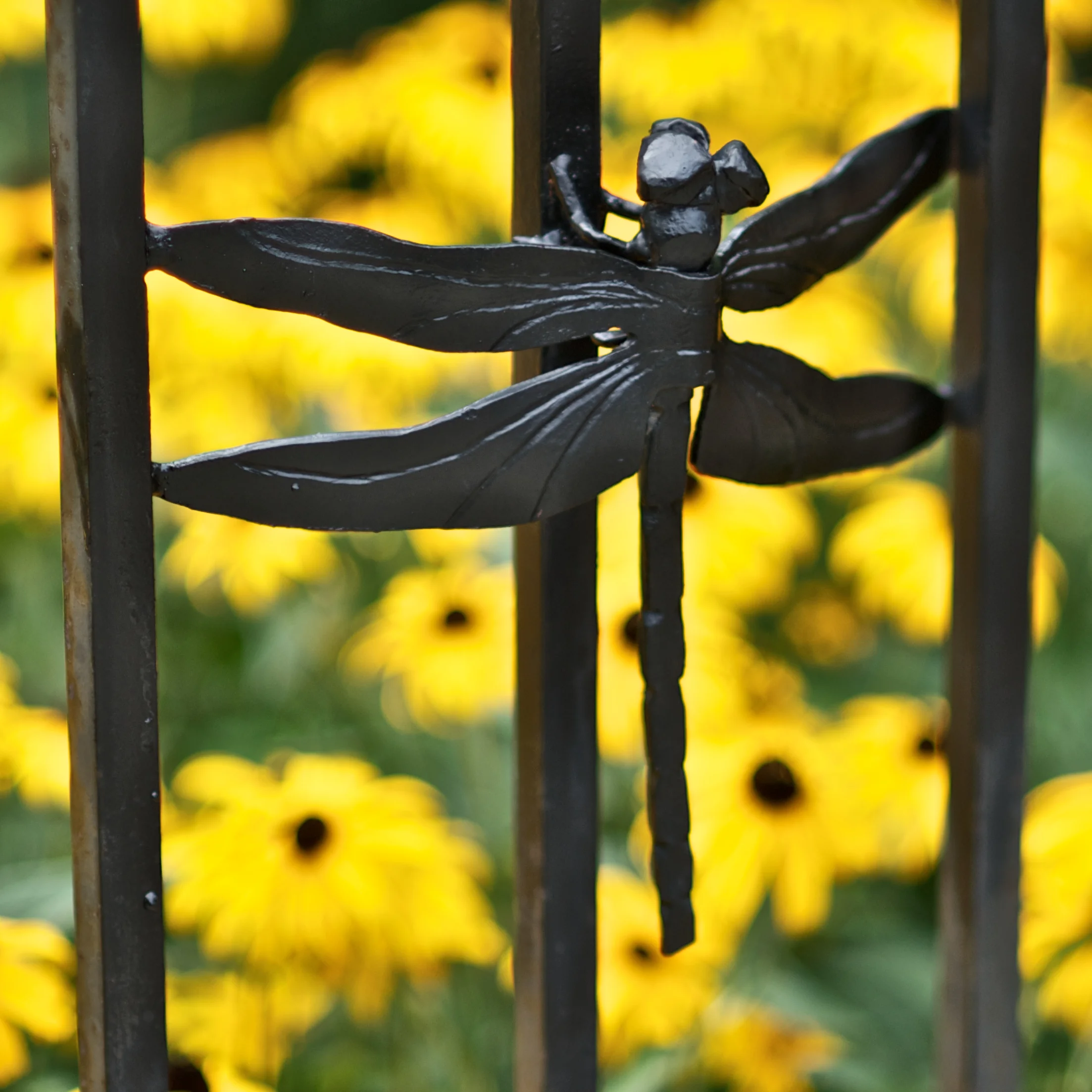 INSECT FENCE (DRAGONFLY) - Satellite Café, 50th & Baltimore Ave. Philadelphia, PA