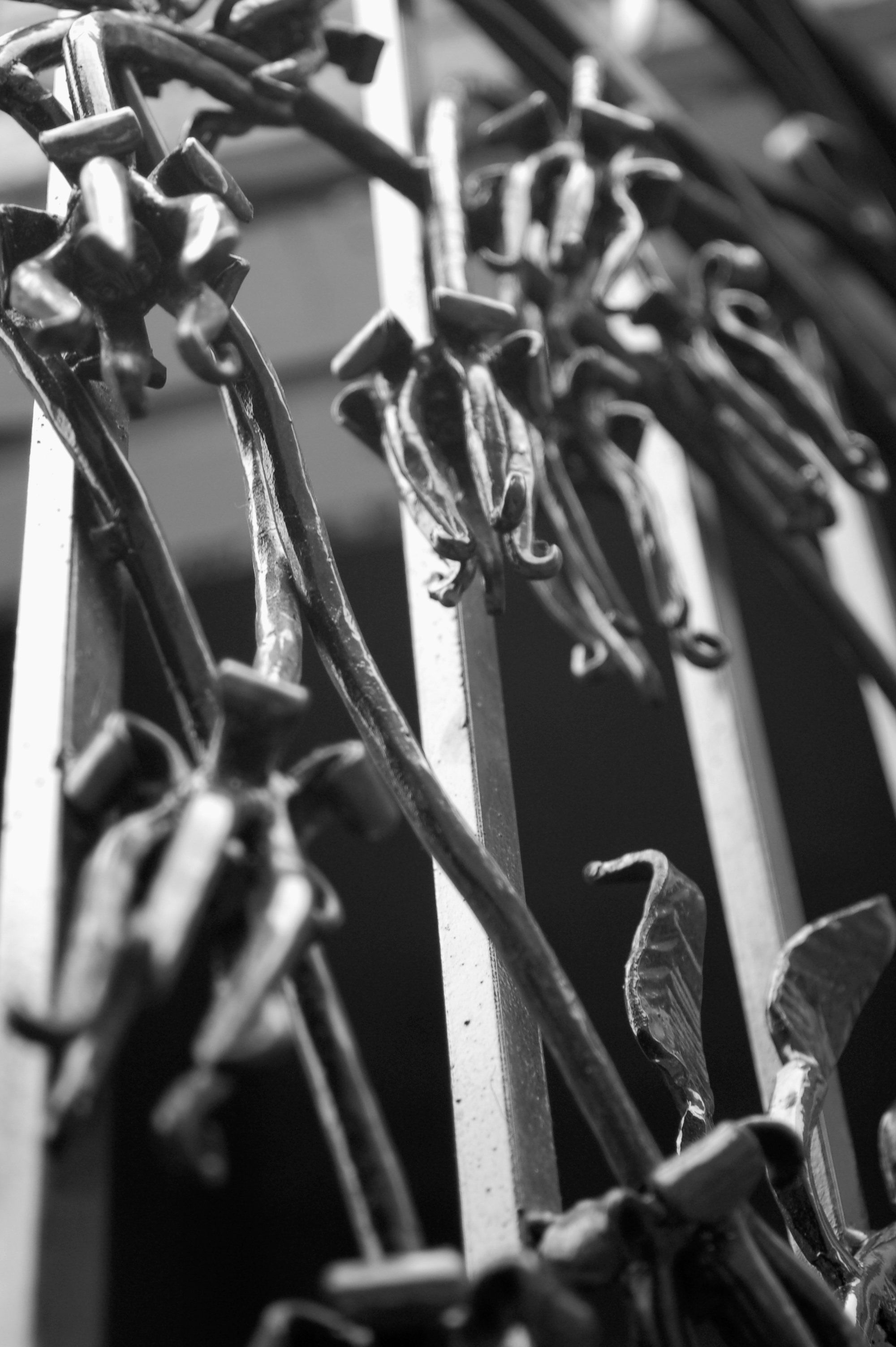 TRUMPET FLOWER GATE (detail)