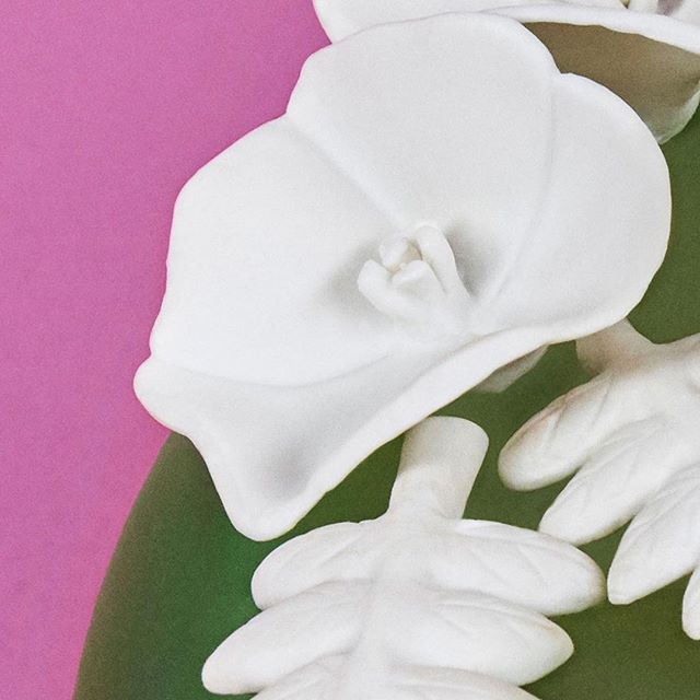 The Creation | 
Blooming soon #NABATA