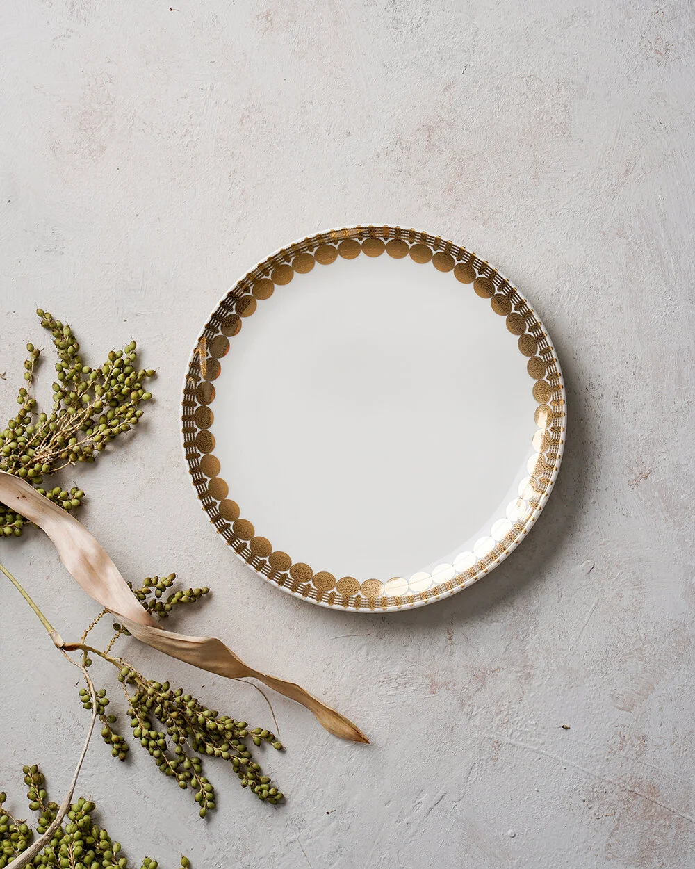 plate-CircleDots2.jpg