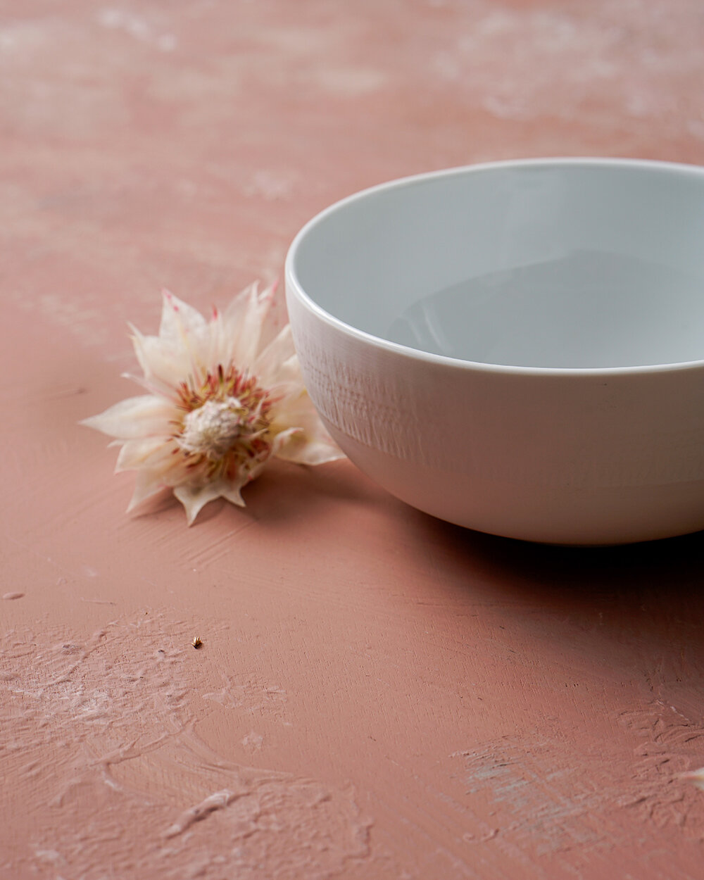 Soup Bowl