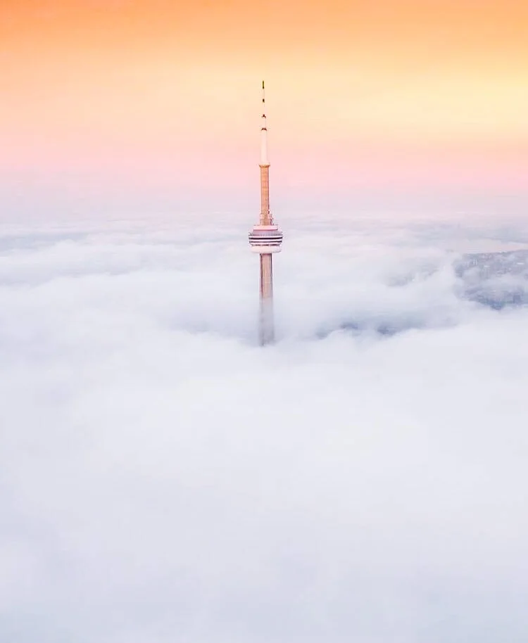 Stillness in the city.jpg