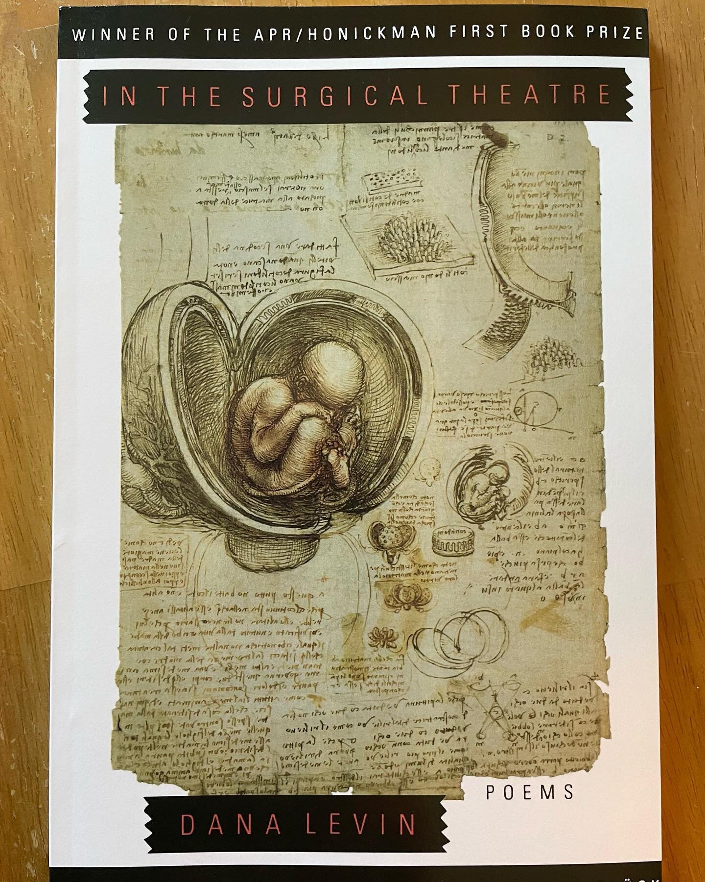 #thesealeychallenge day 2: Dana Levin, In the Surgical Theatre (American Poetry Review, 1999)

#thesealeychallenge2023 
#sealeychallenge