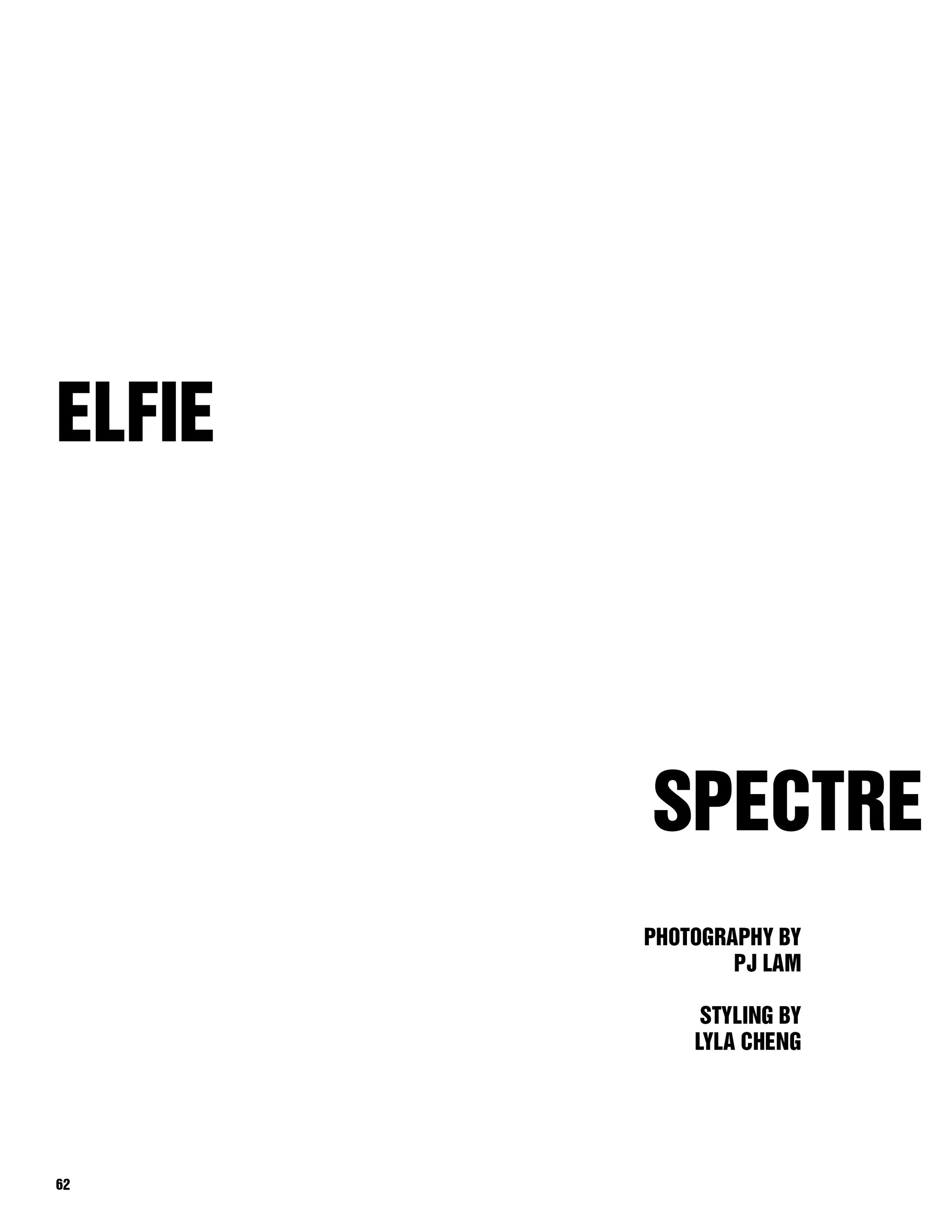ds62.jpg