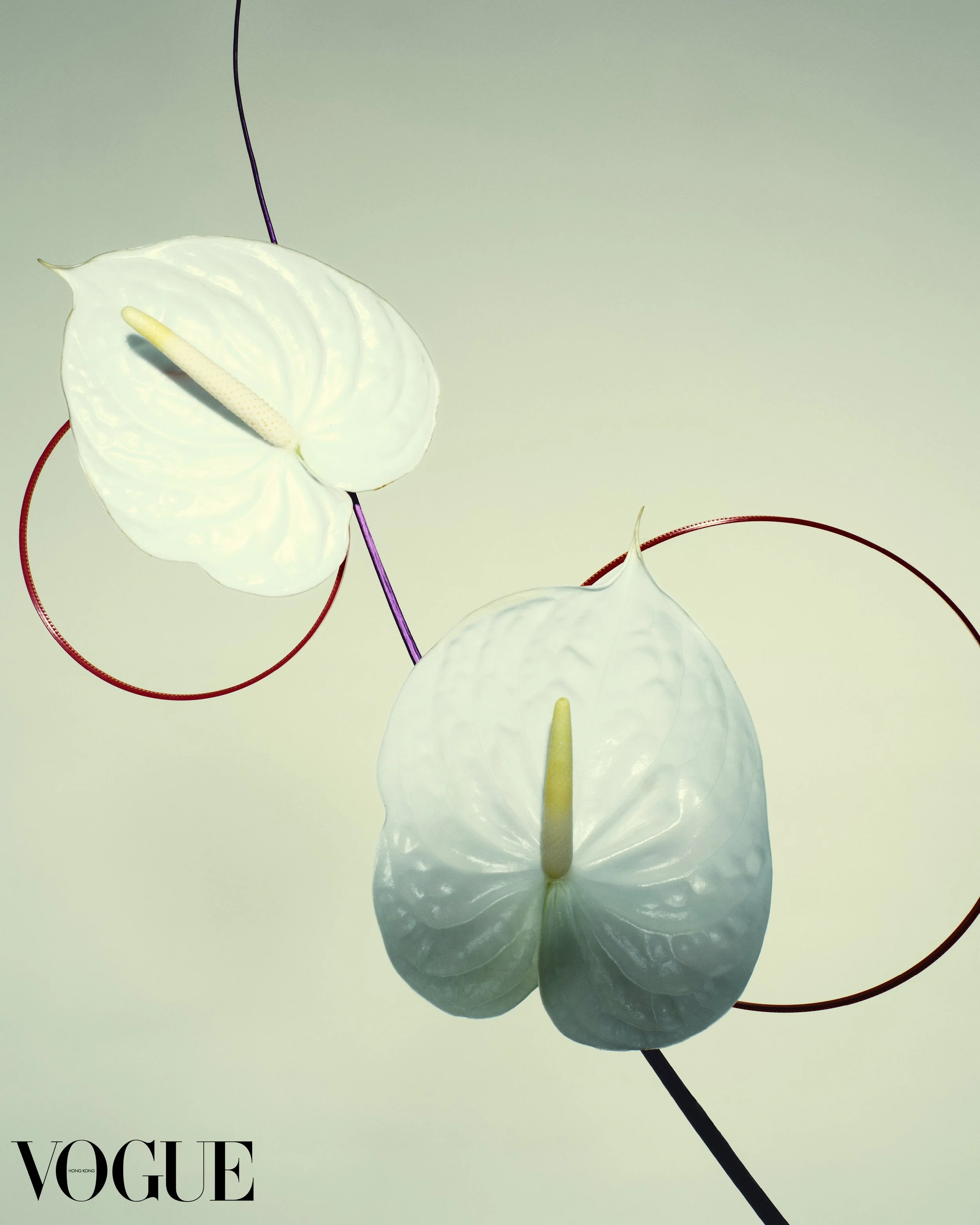 Photo_edit with 2(Vogue logo)9 (1).jpg