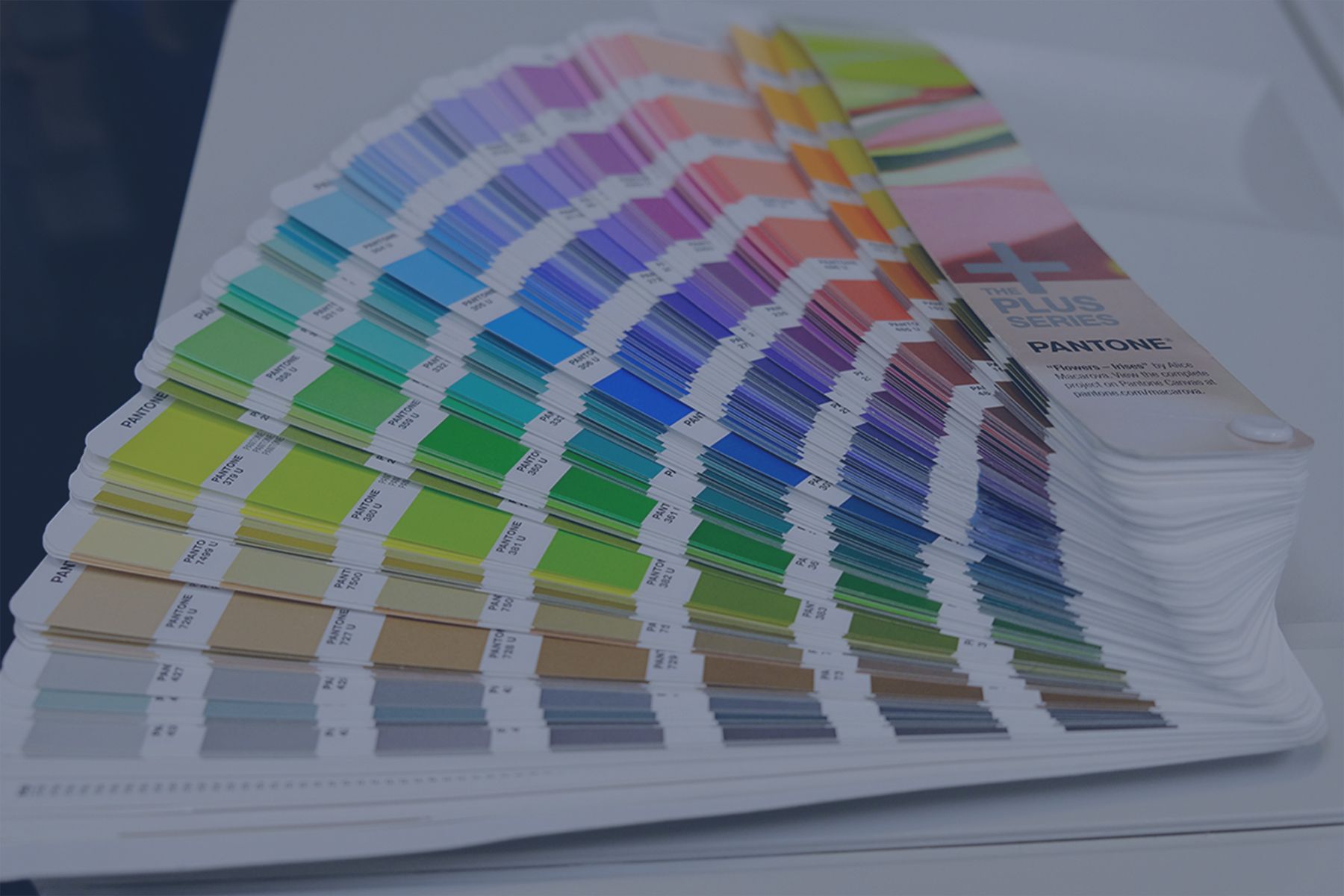 Pantone-Swatches-compressor.jpg