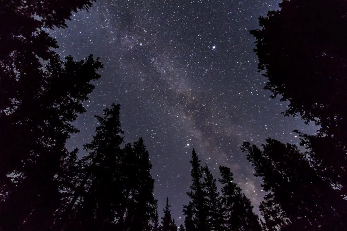 Teaching Children to Love Poetry, Part I: Night of Spring
