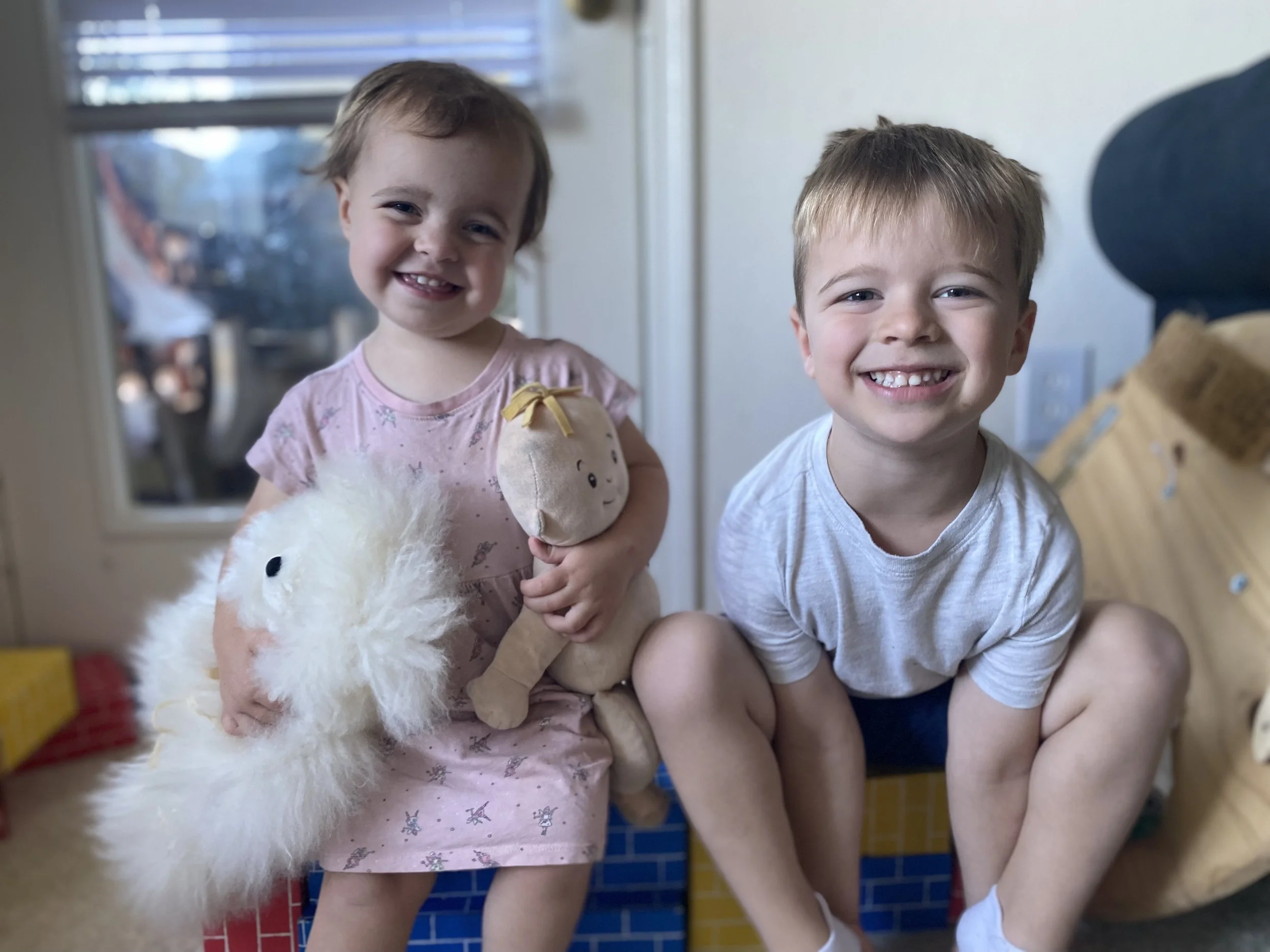 Steele Family Newsletter; Vol. II Issue 4