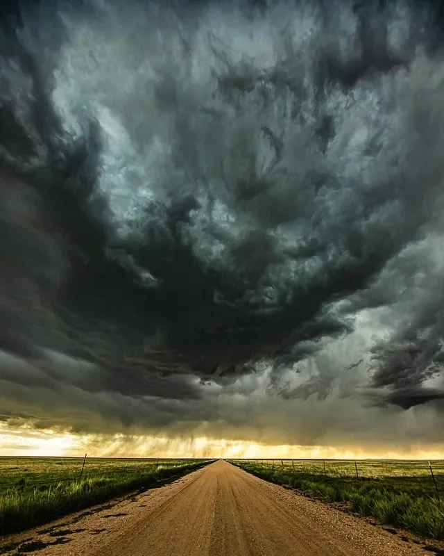 "Picnic, LightNing" by Billy Collins