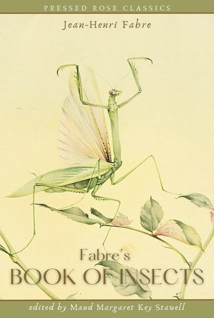 Fabre's Book of Insects by Jean-Henri Fabre