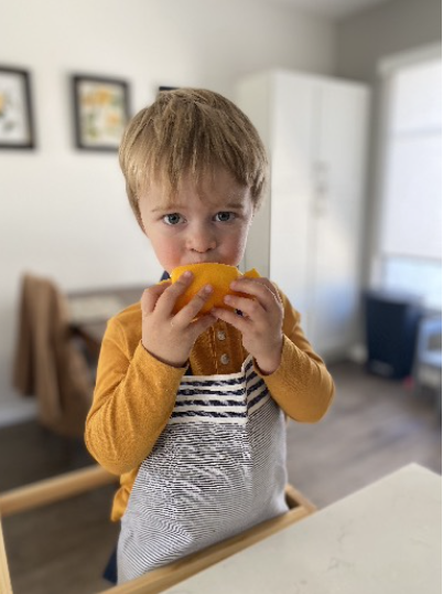 The Steele Family Newsletter, Vol. I Issue 9 (11/1/22)
