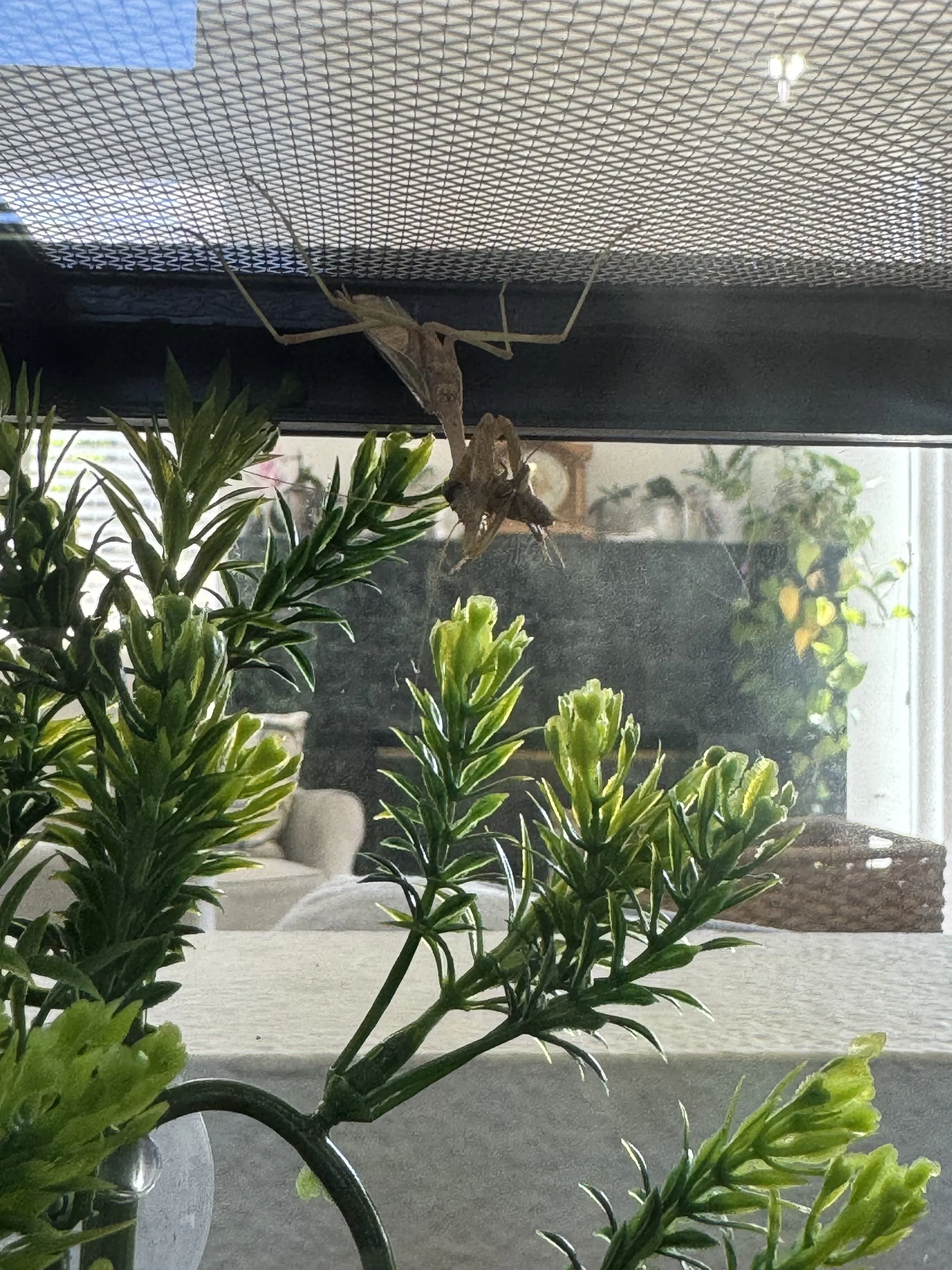 An Assortment of Classroom Stories