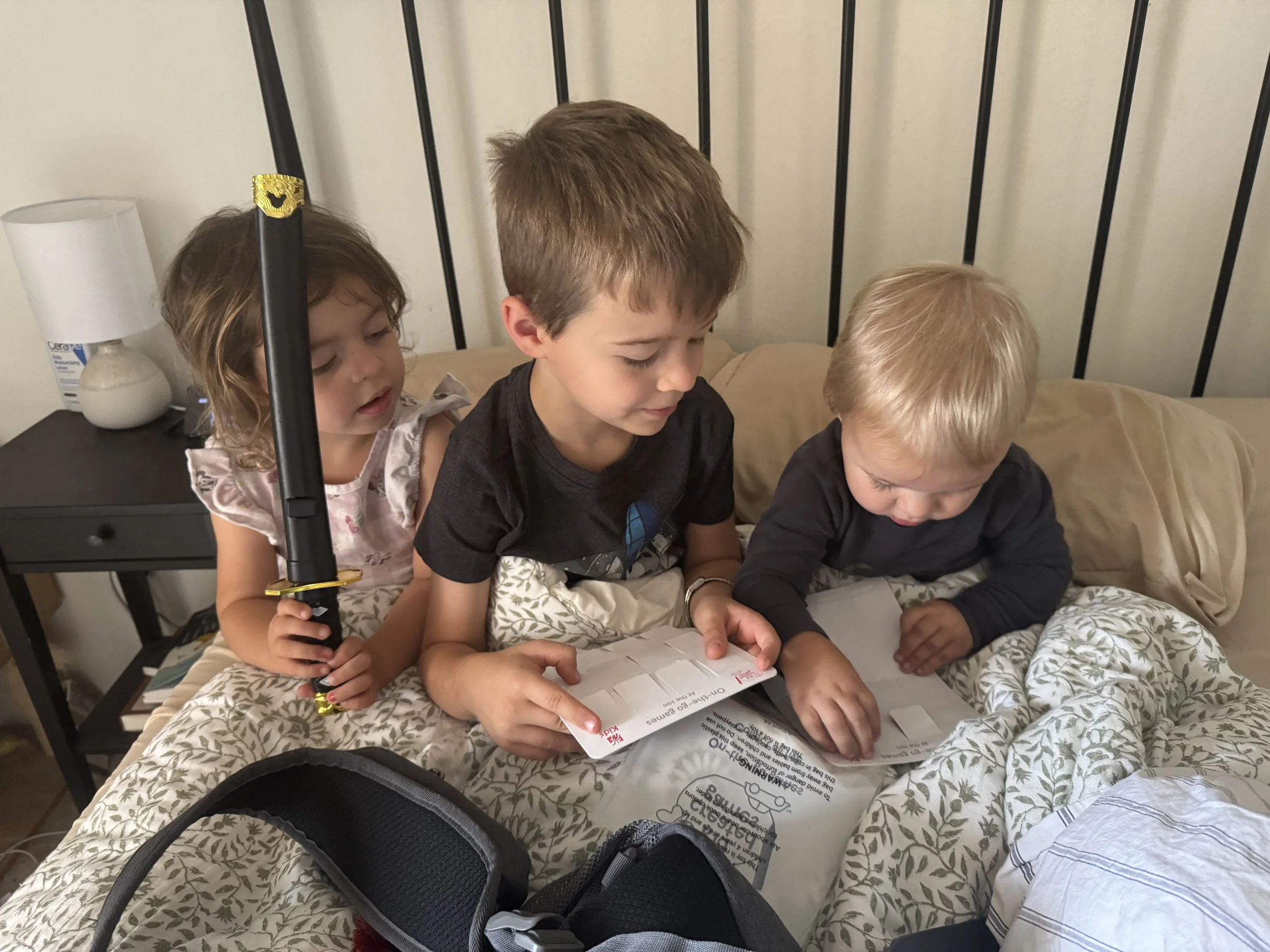 The Steele Family Newsletter: Volume III, Issue 2