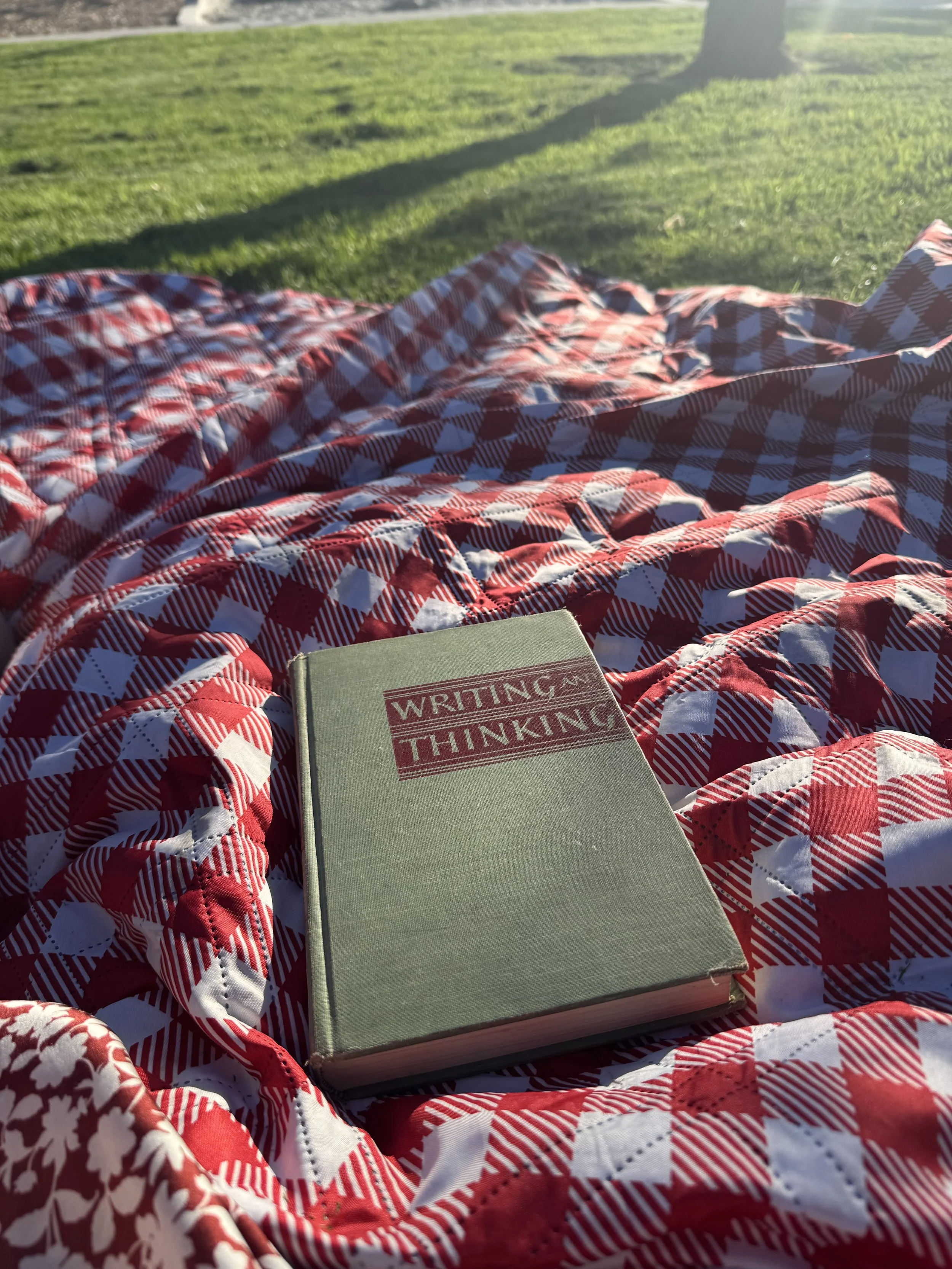 Writing and Thinking, Thinking and Planning