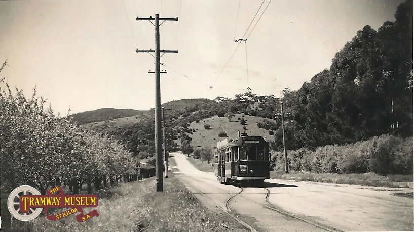 A photo from the Tramway Museum archives showing an unidentified F or F1 type 'Drop Centre' tram running through the peaceful country side on the Morialta line at Rostrevor with the tram heading towards the Adelaide city centre in 1954, two years before closure of this line in March 1956.