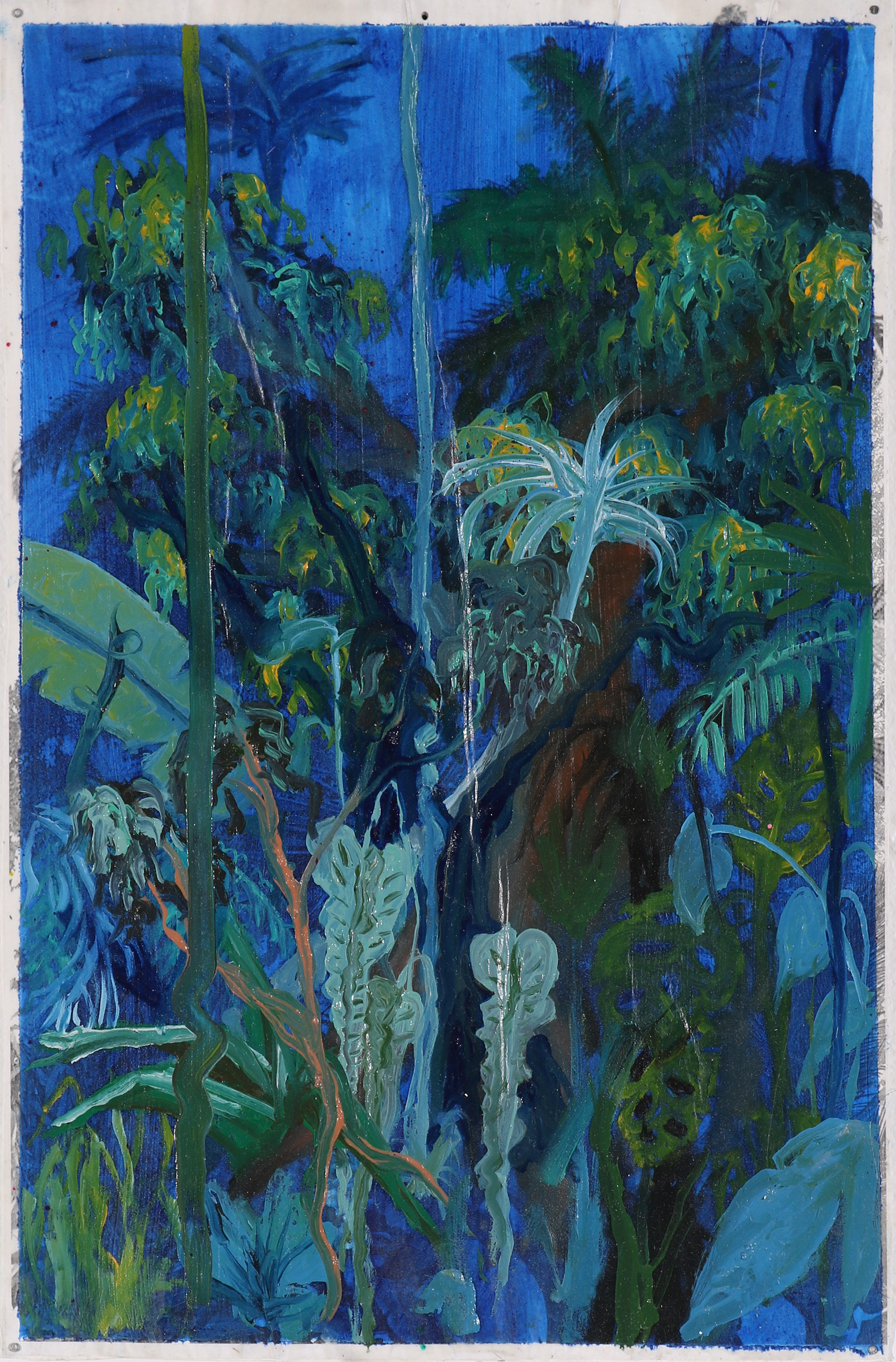 Jungle Study (2018)