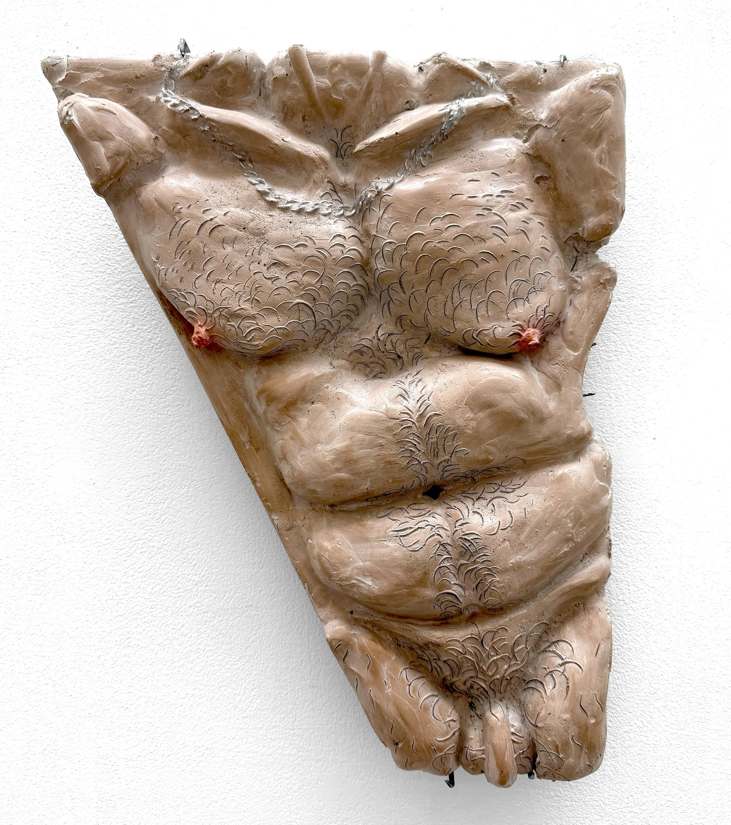 Torso Study