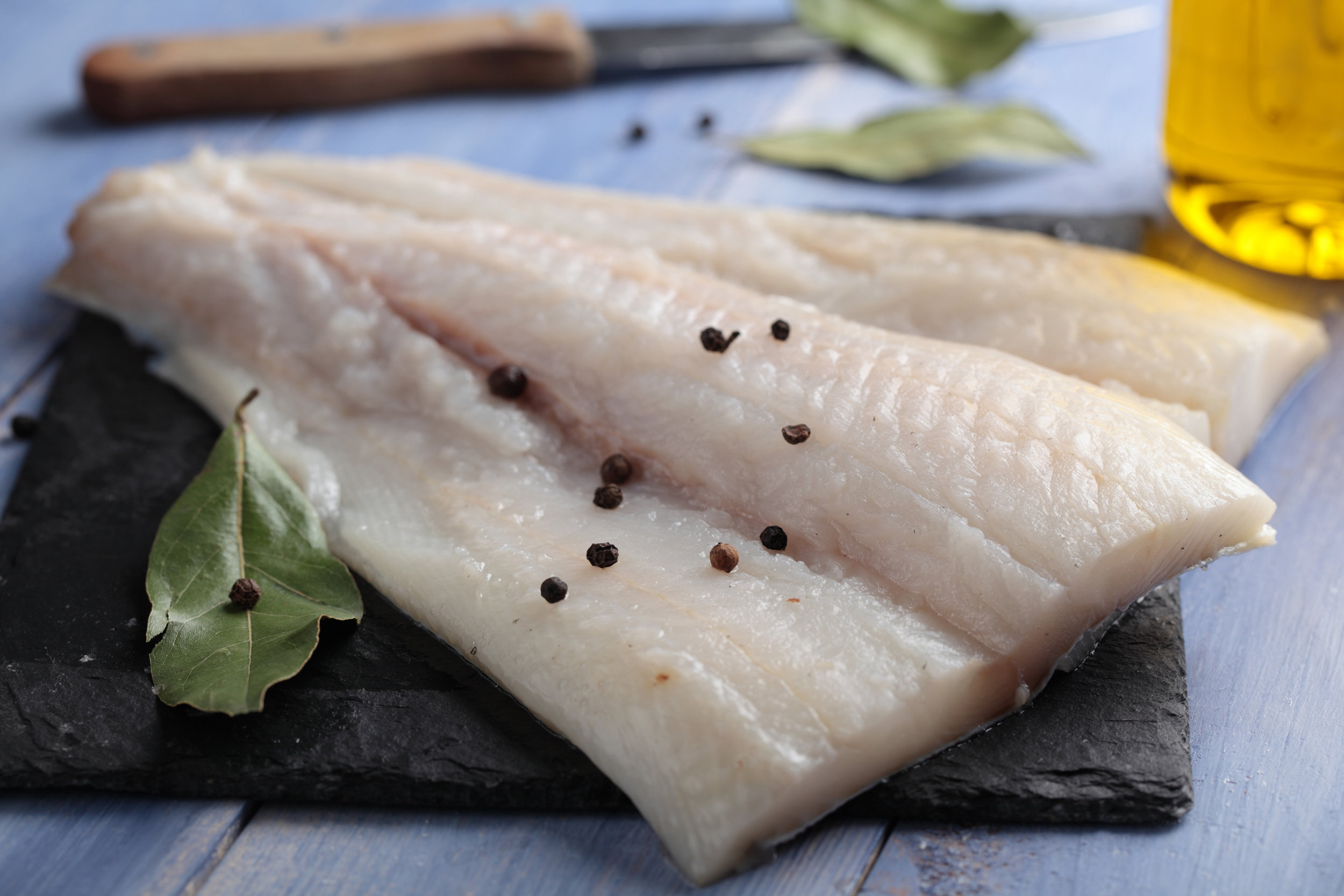 sqs image halibut.jpg