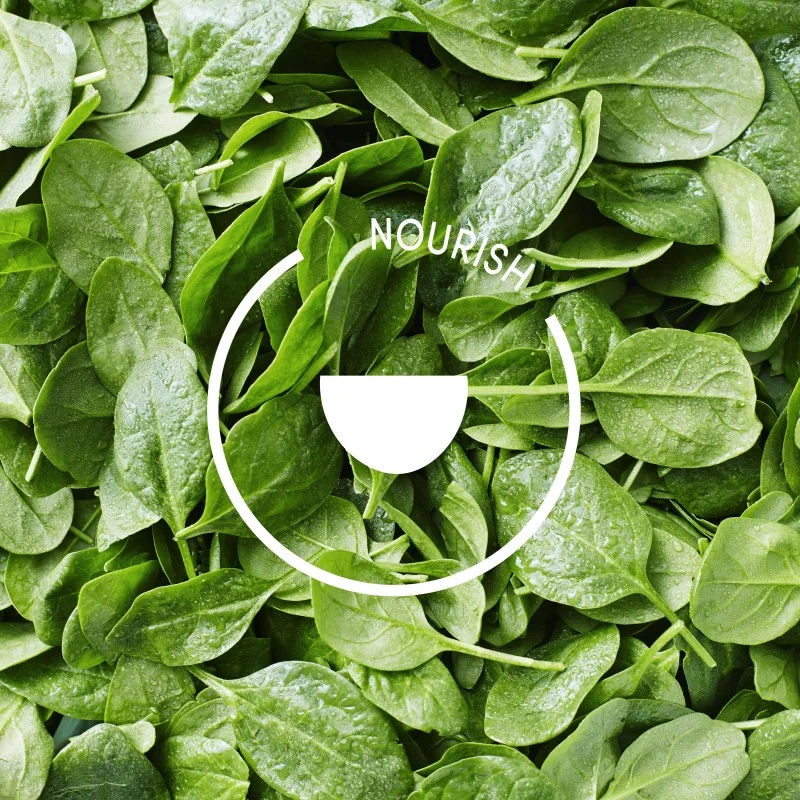nourish.jpg