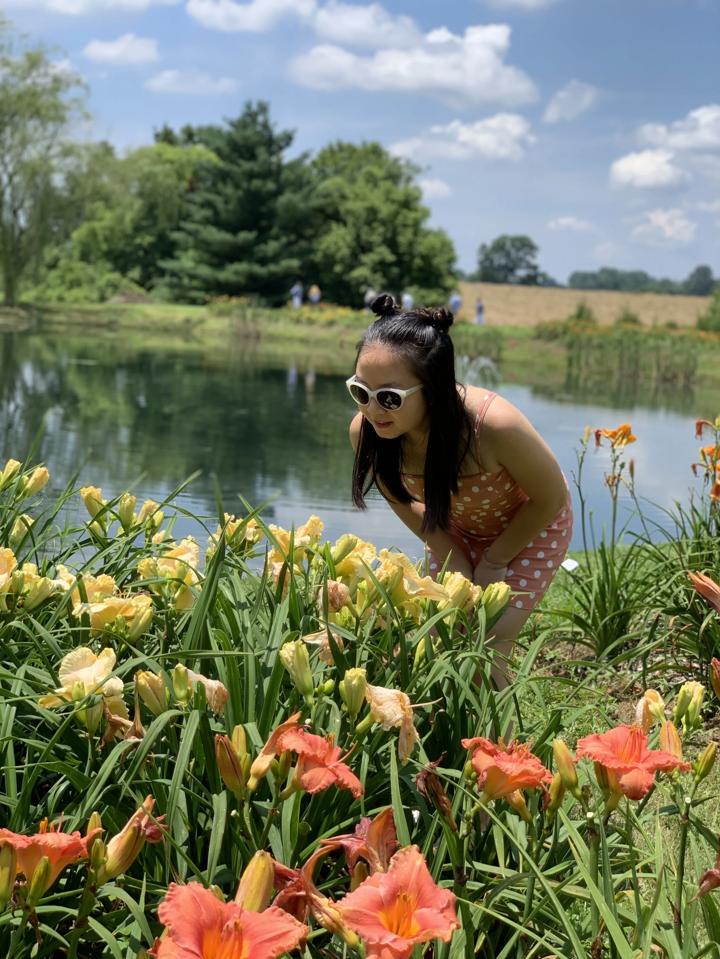 Oakes Daylilies Farm CORRYTON, TN