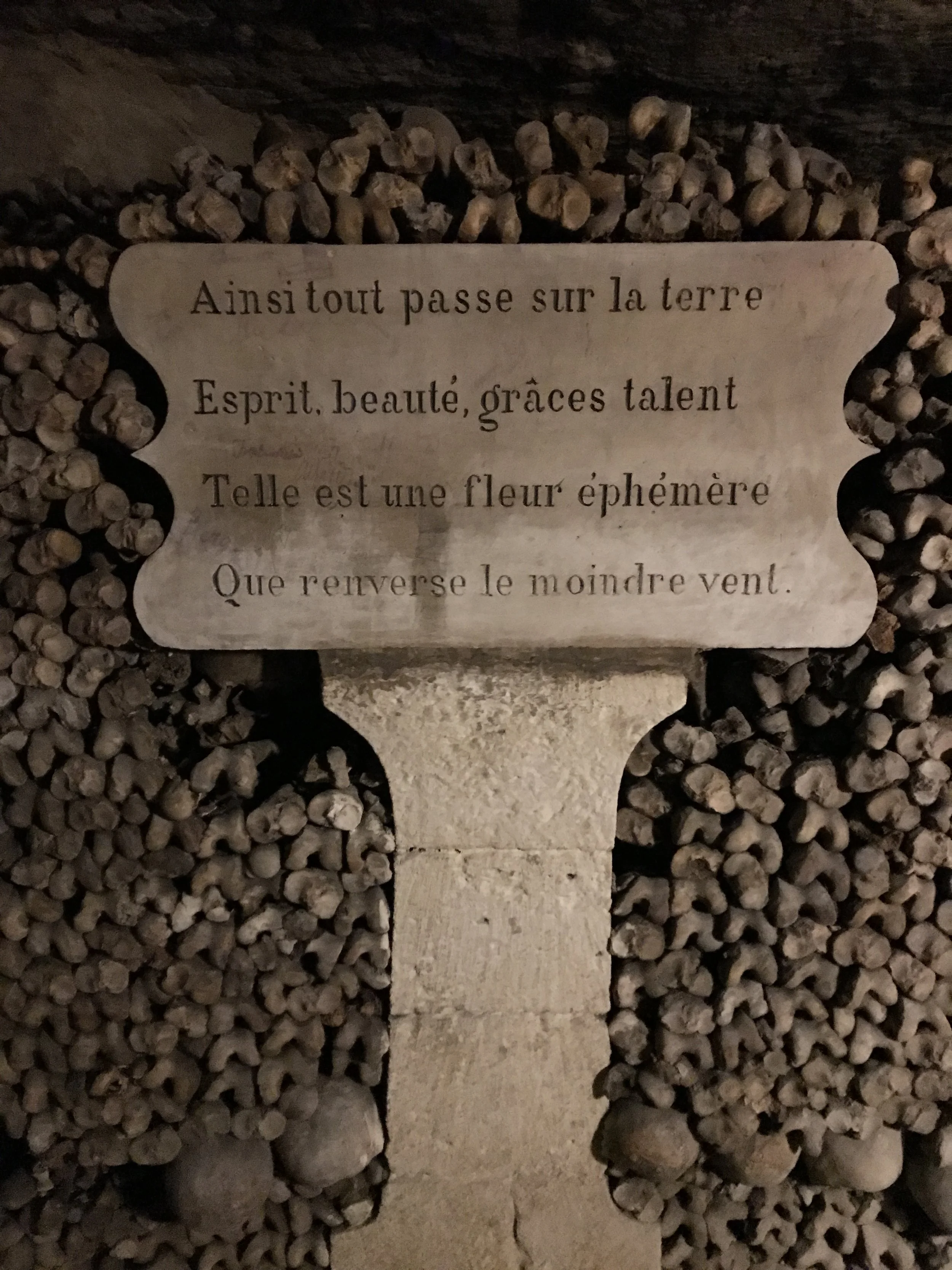 Paris Catacombs: All You Need to Know and What to Expect!
