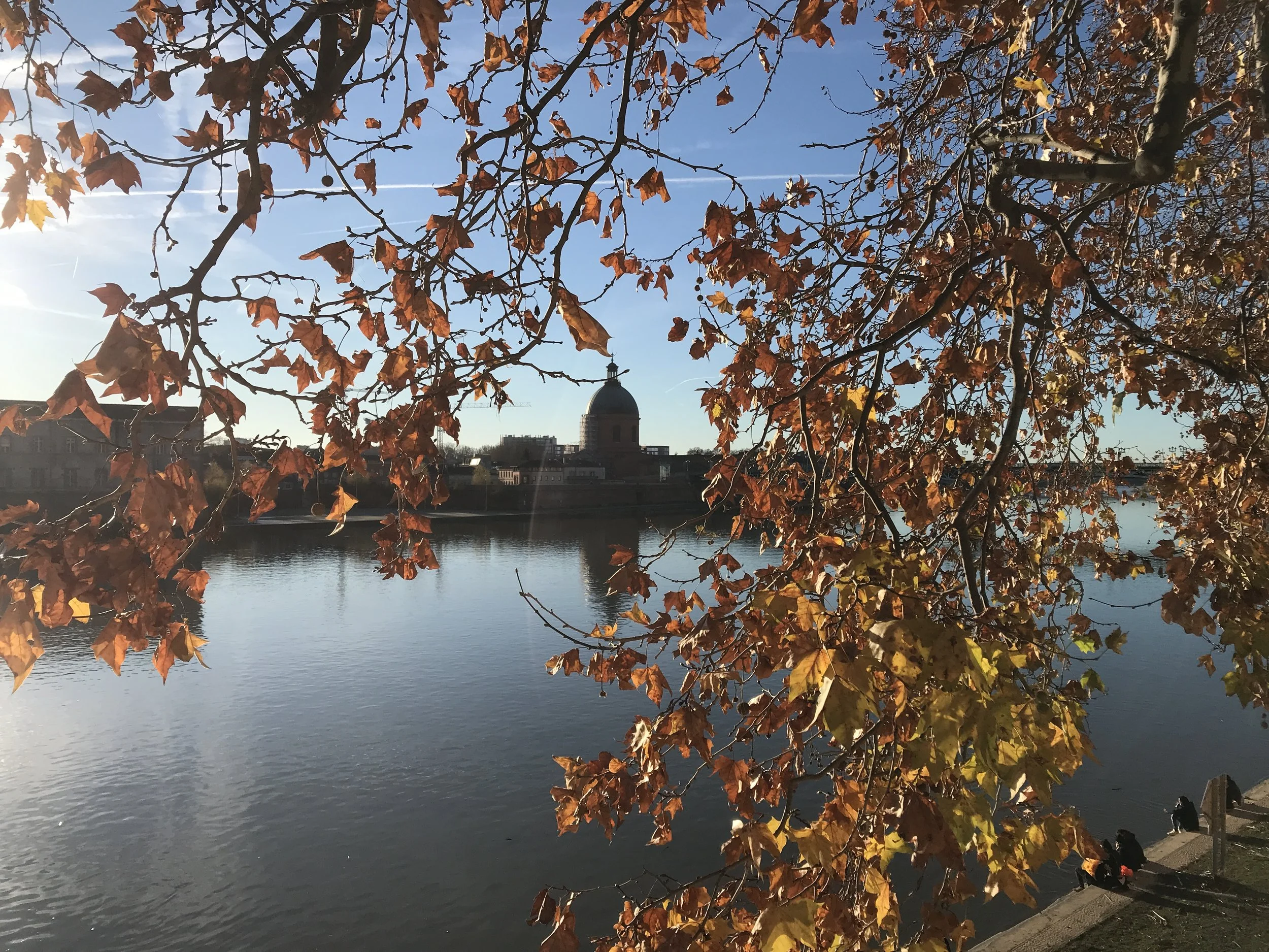 Toulouse Travel Guide - How to Spend a Weekend in Toulouse, France