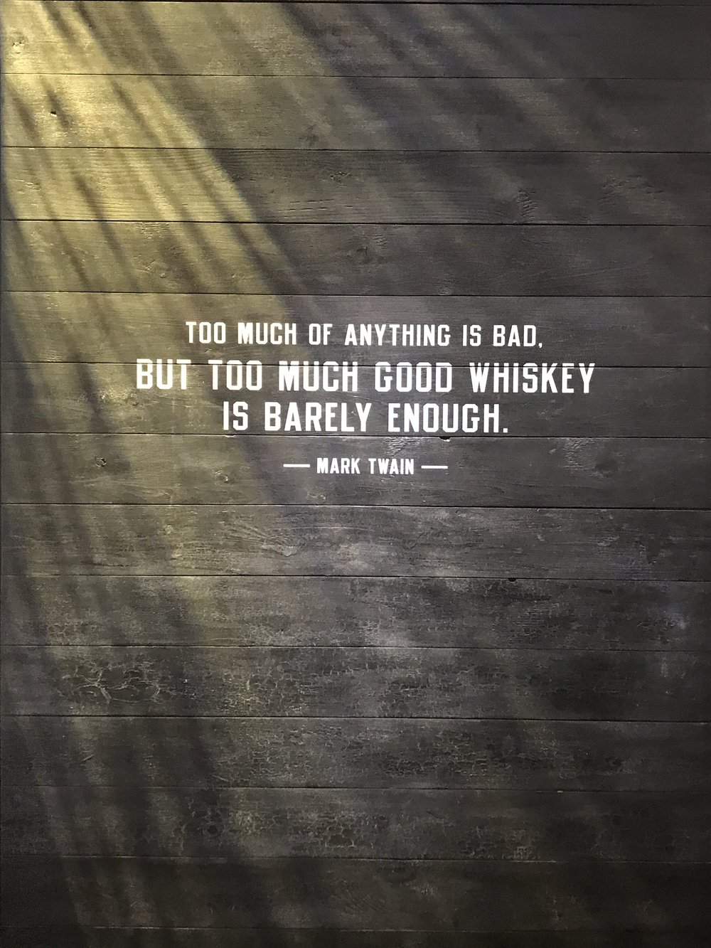 Wise words from Mark Twain