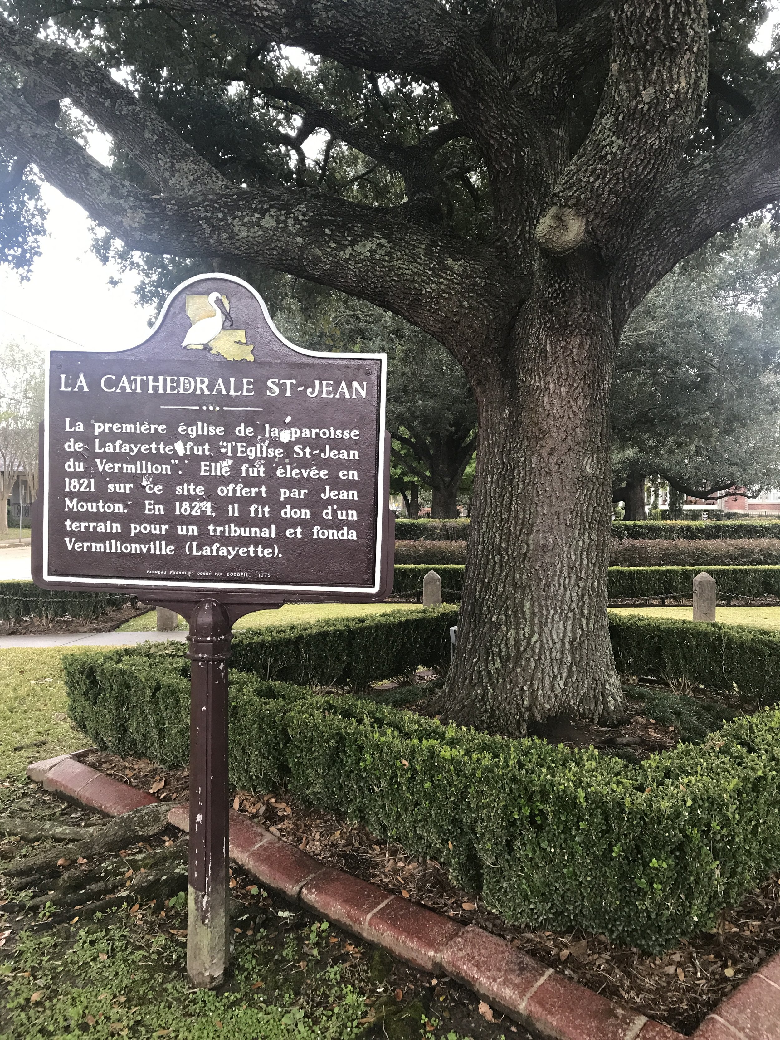 French Sign of St. John Cathedral in Downtown Lafayette, LA