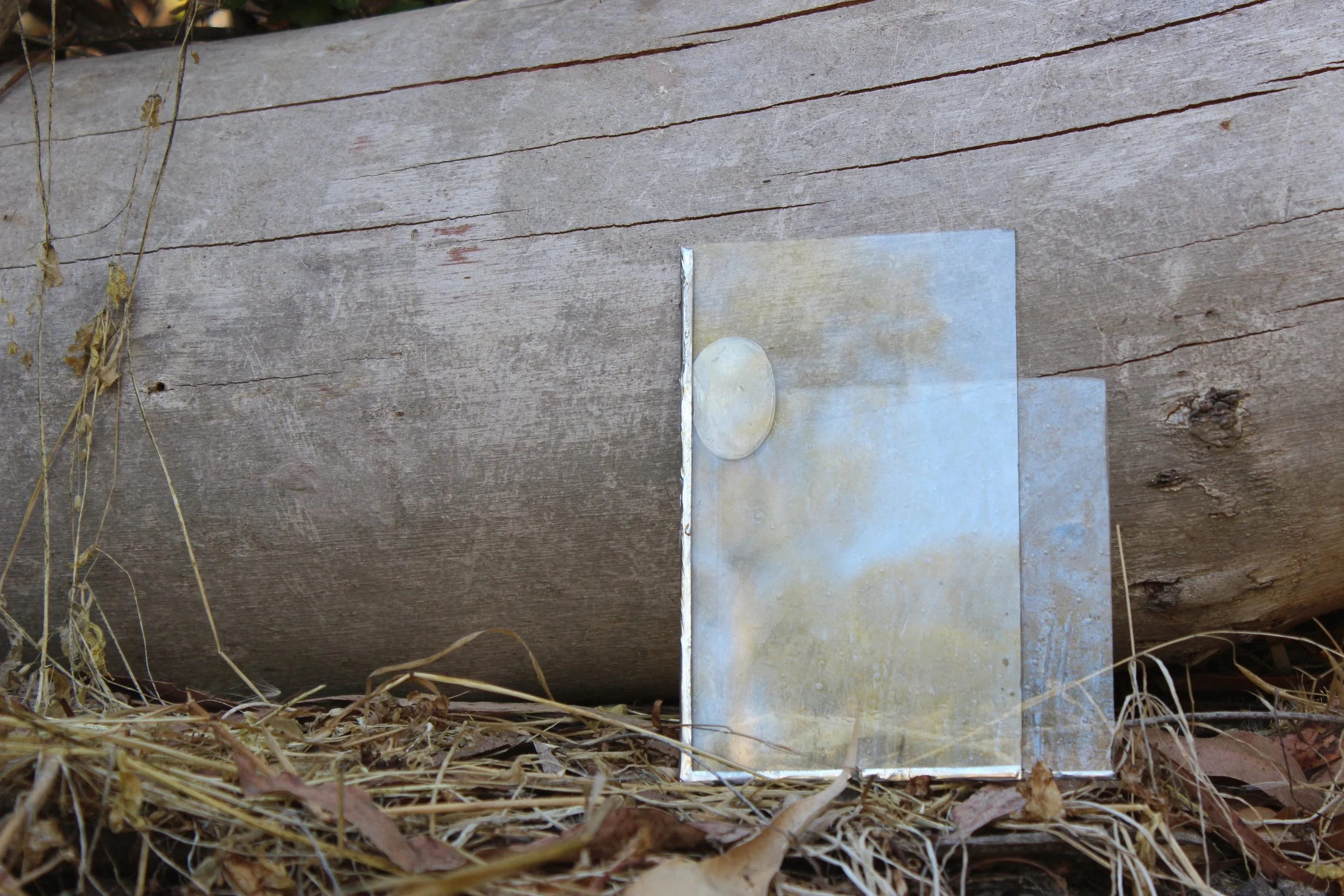 clasp_2025_2_Evan Pettiglio.jpeg