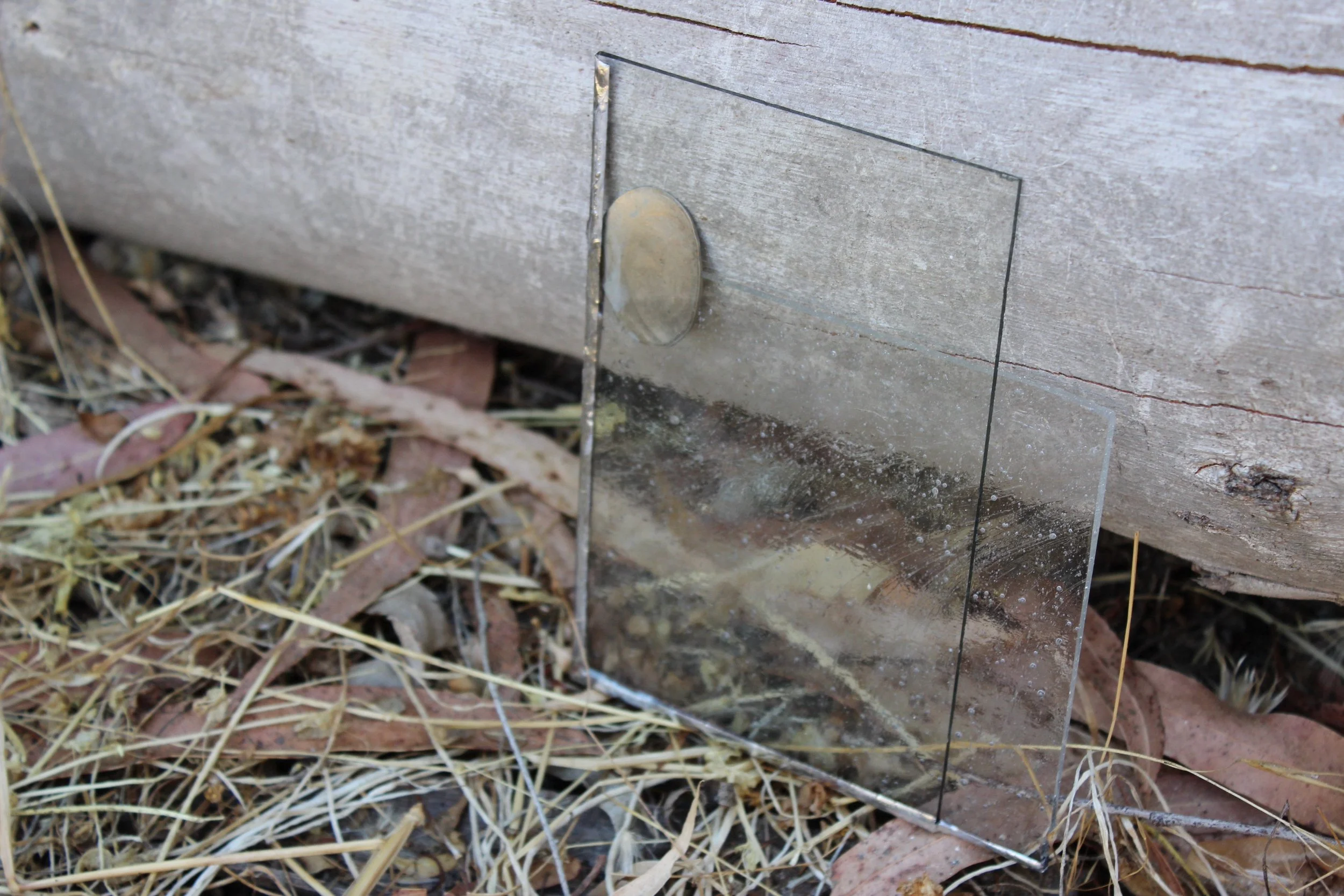 clasp_2025_3_Evan Pettiglio.jpeg