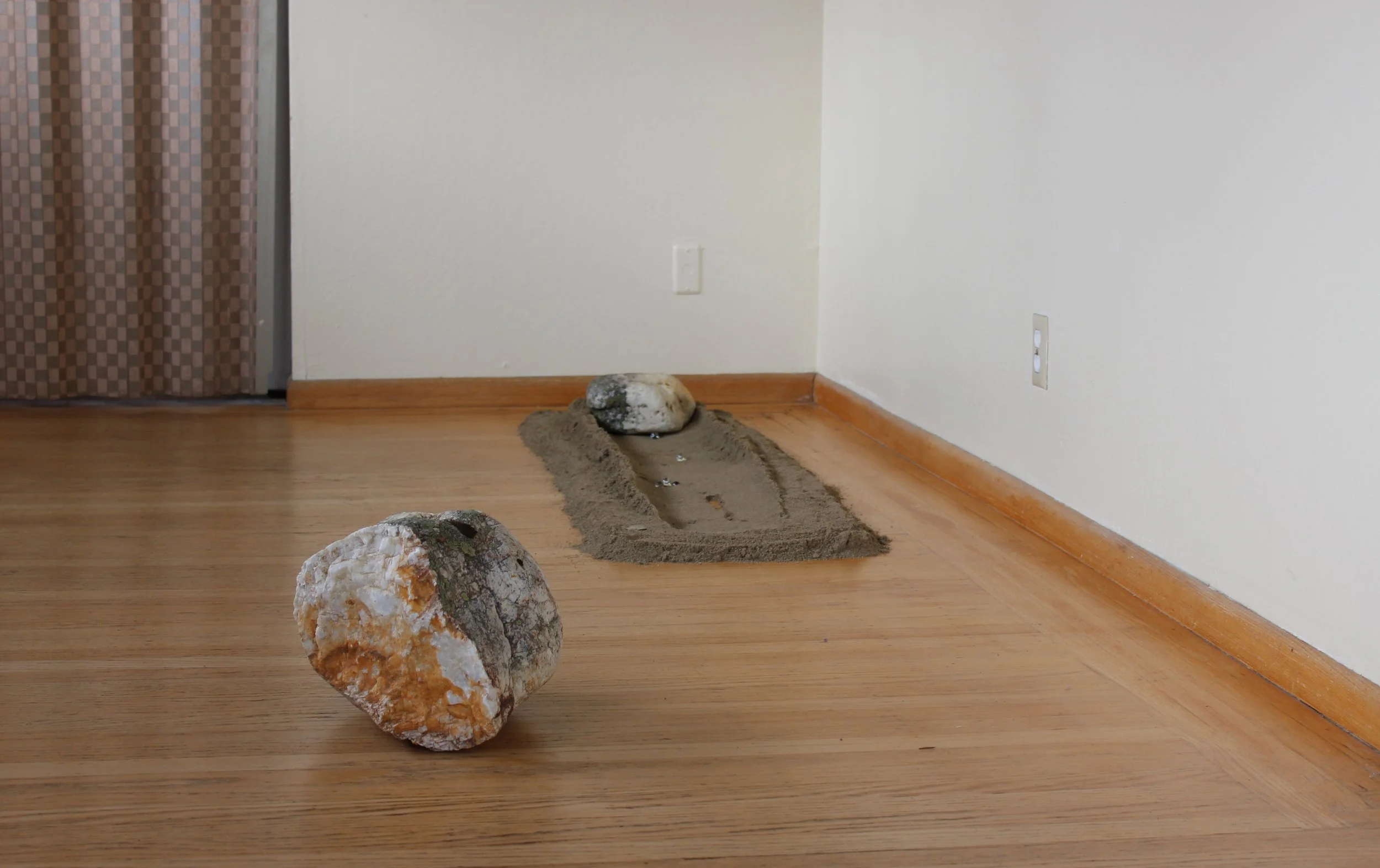 swallow_close_installation copy.JPG