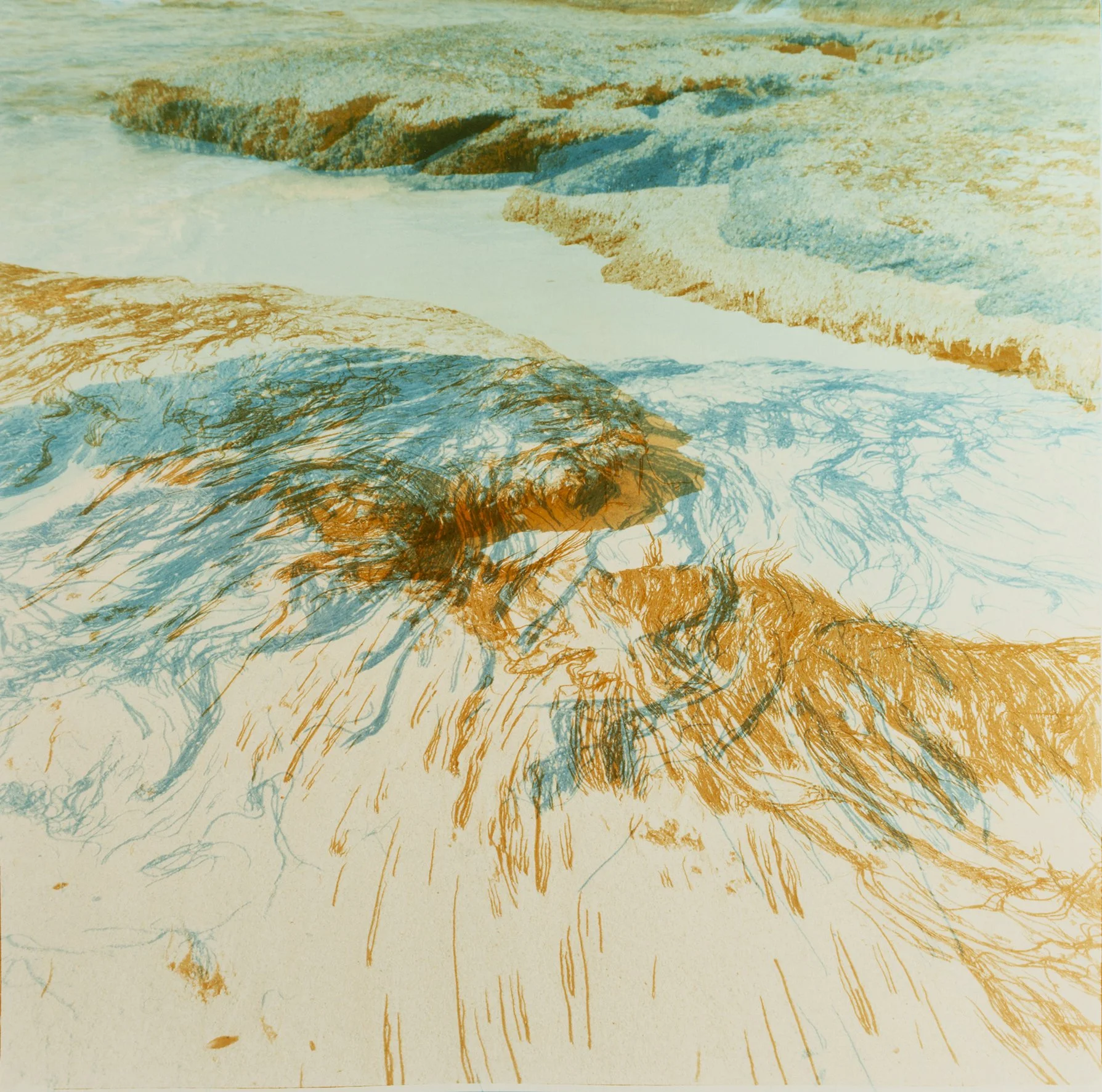 Experimental Print Prize