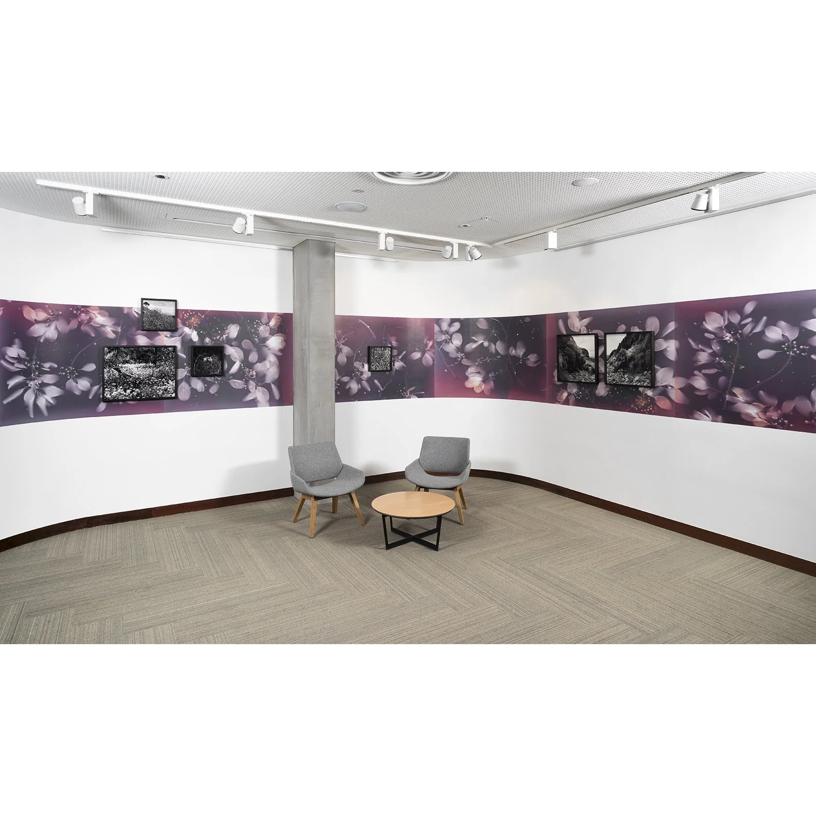 Dianna_Wells_BargoongaNganjin_3.1-SQ.jpg