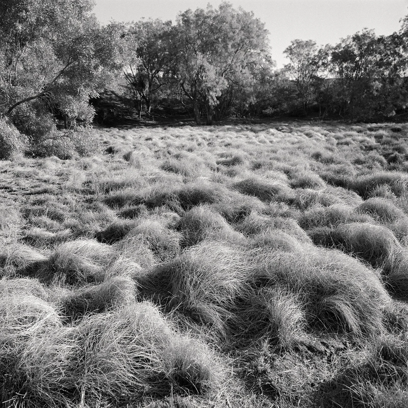 11_Dianna Wells, Crater, 2019.jpg