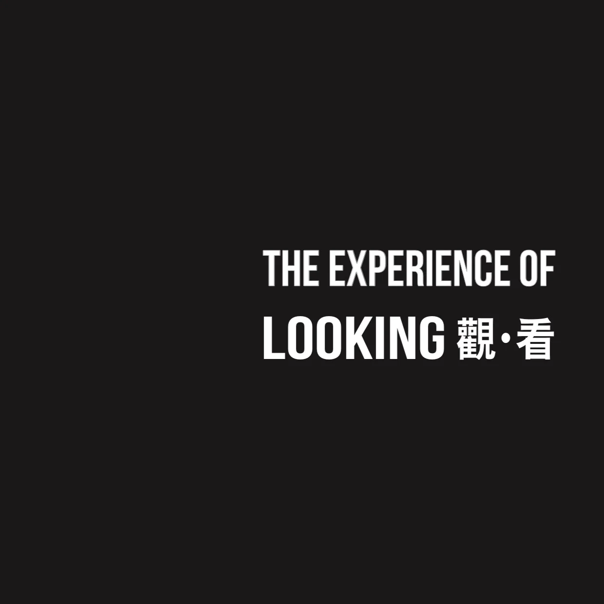 Rasti+Chinese+Art-+The+Experience+of+Looking.jpg