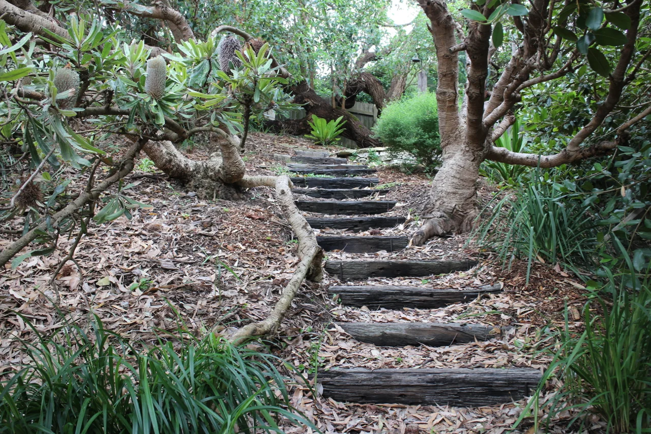  Banksia walk 