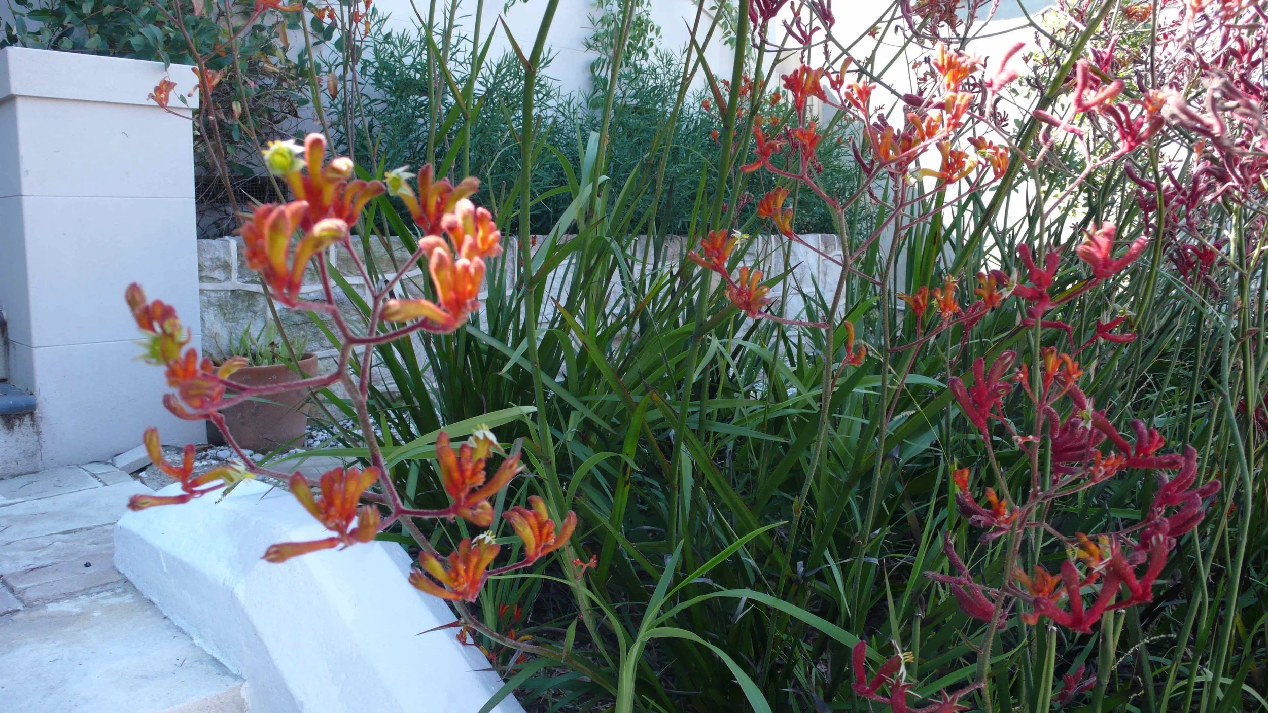 L1070240.jpg