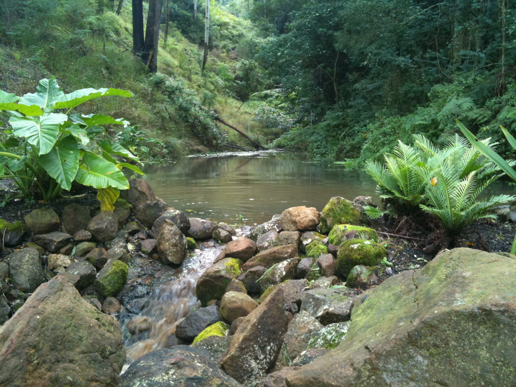 KV creek.jpg
