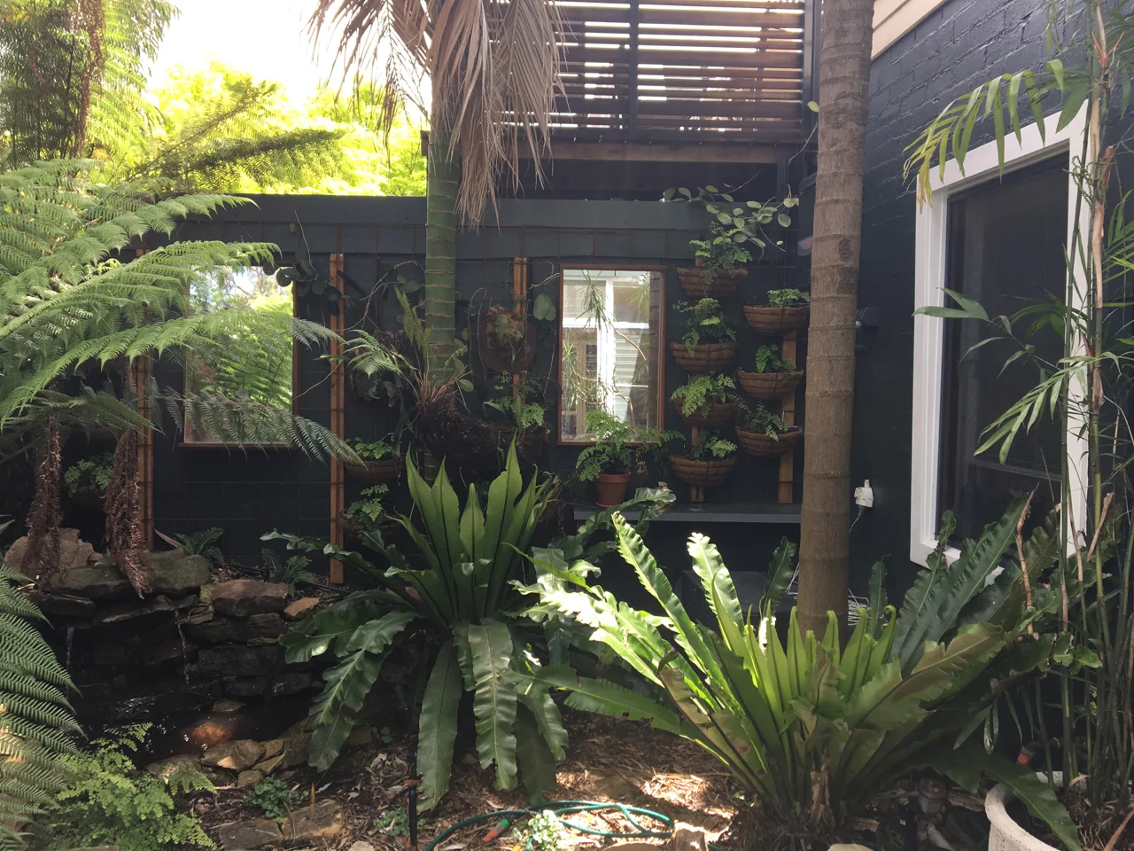  Birchgrove. A small enclosed and shady courtyard garden 