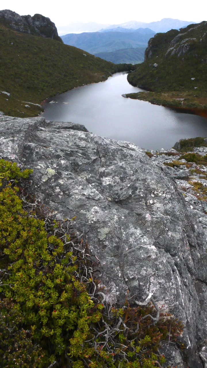 L1100467.jpg