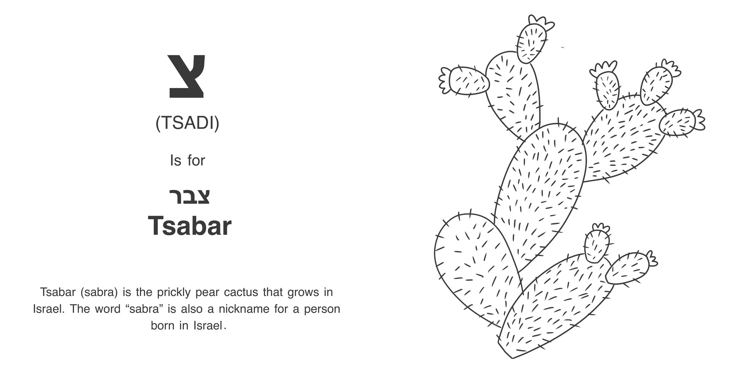 Alef_Bet_Book5 2.jpg