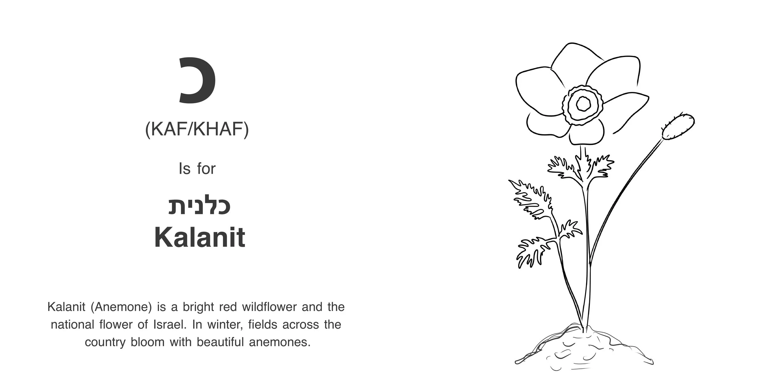 Alef_Bet_Book3 2.jpg