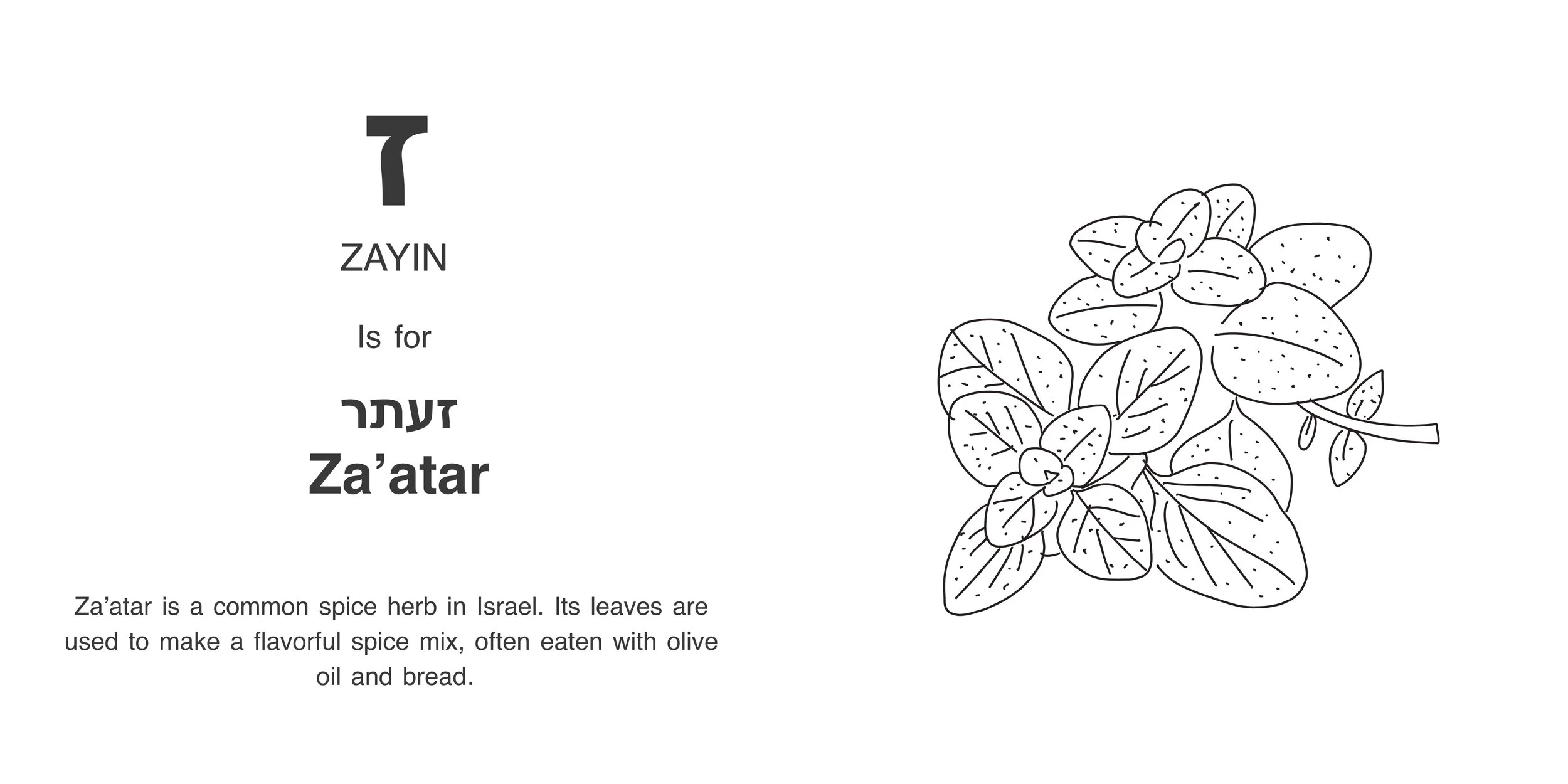 Alef_Bet_Book_zayin.jpg